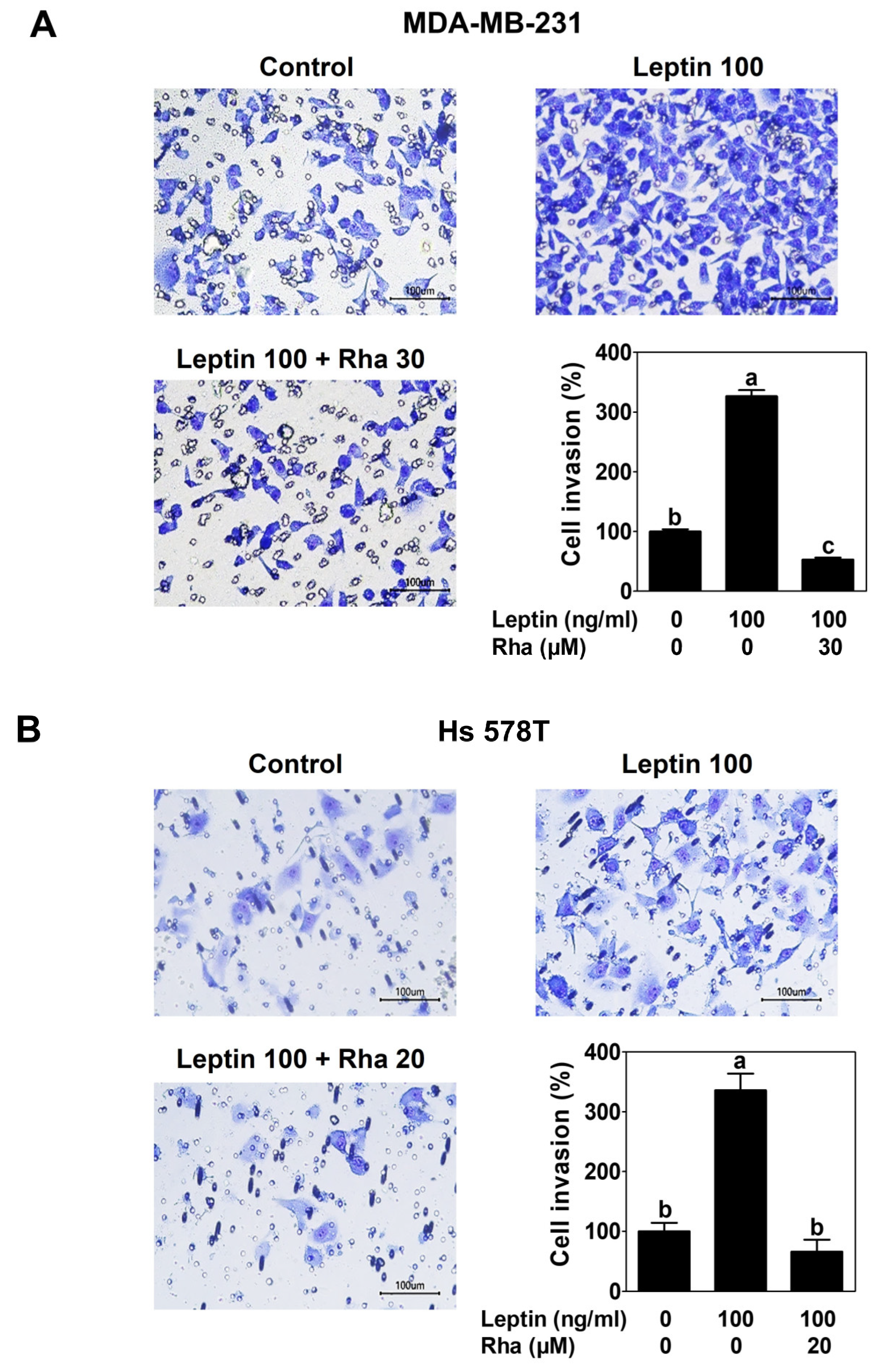 Biomedicines 13 03000 g003