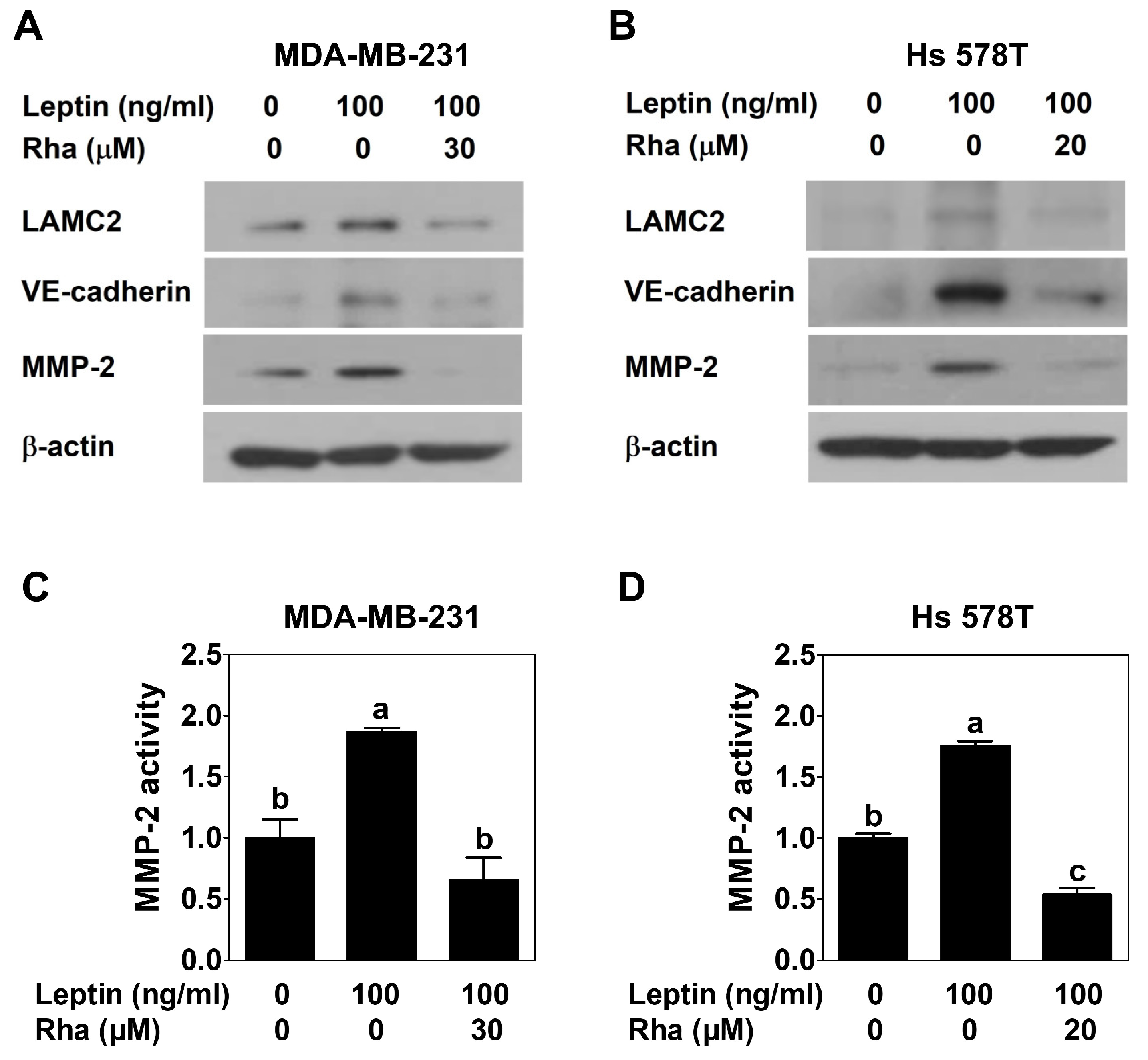 Biomedicines 13 03000 g005