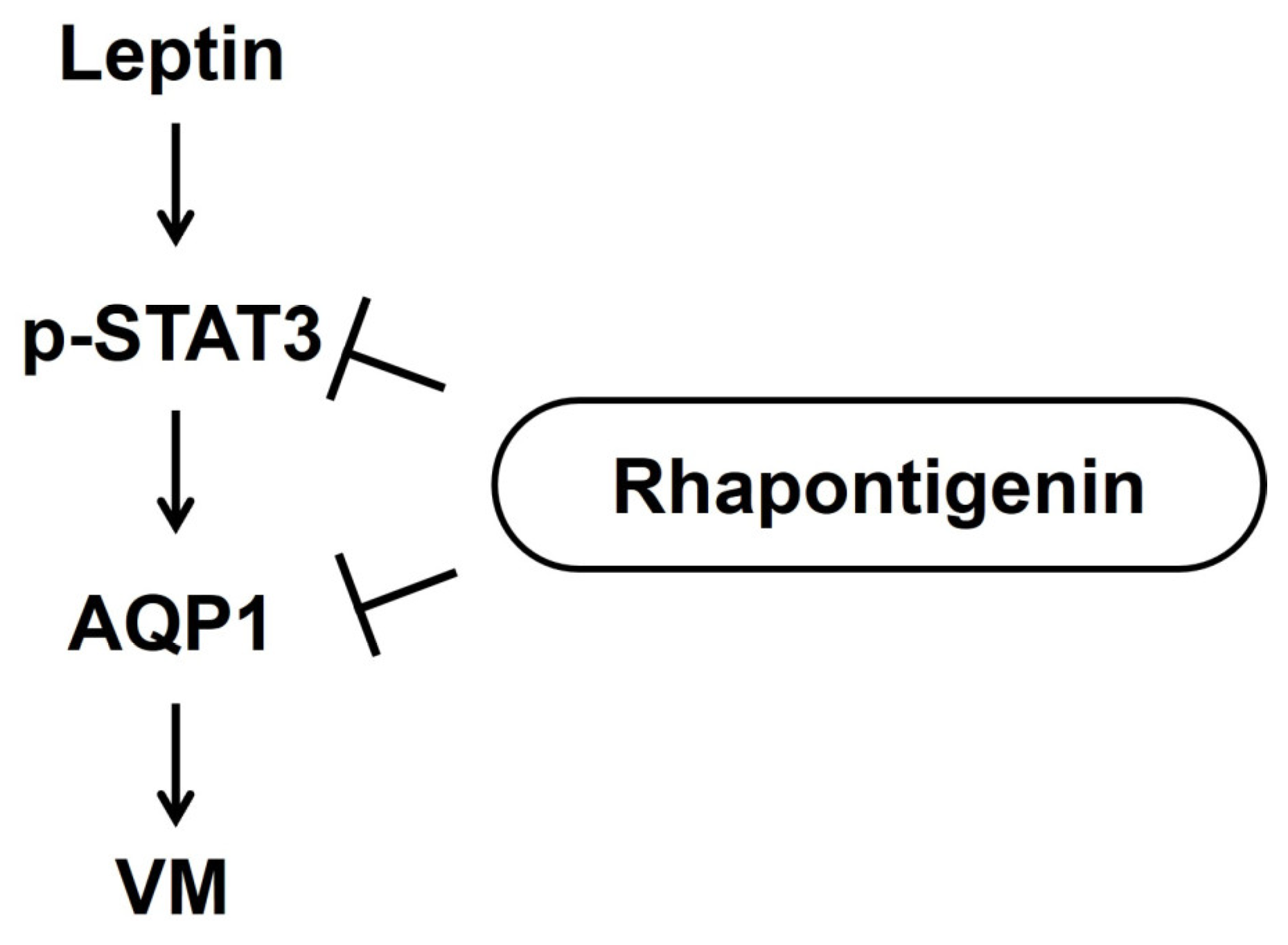 Biomedicines 13 03000 g006