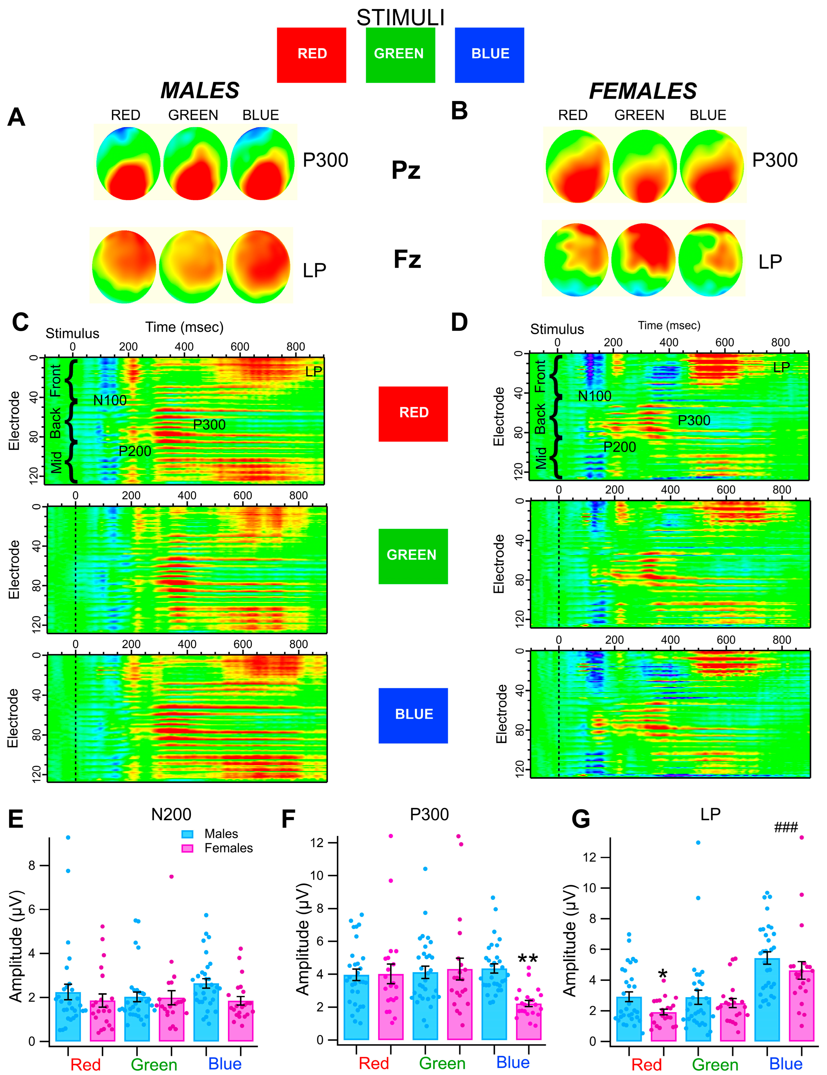 Biomedicines 13 03002 g002