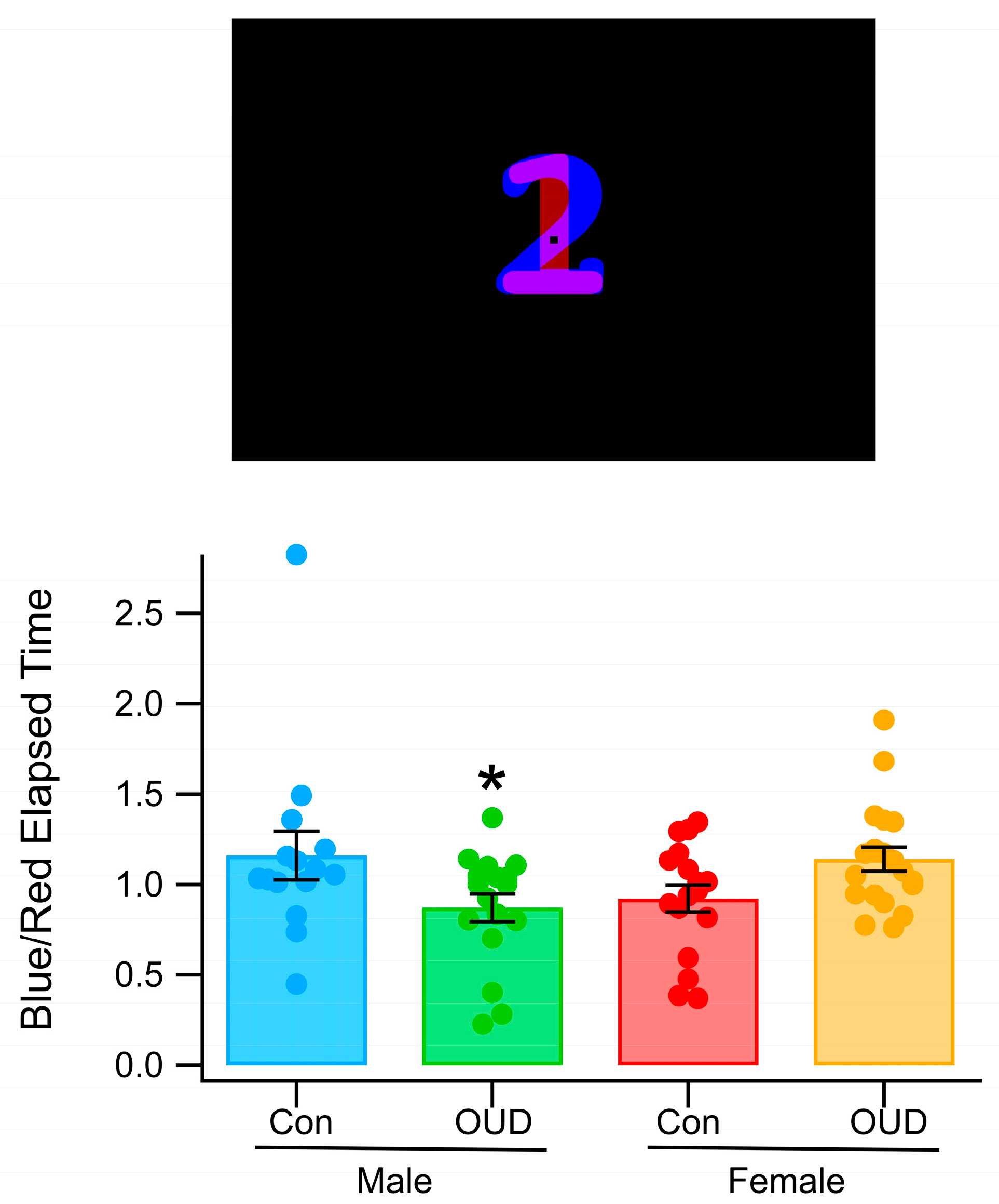 Biomedicines 13 03002 g004