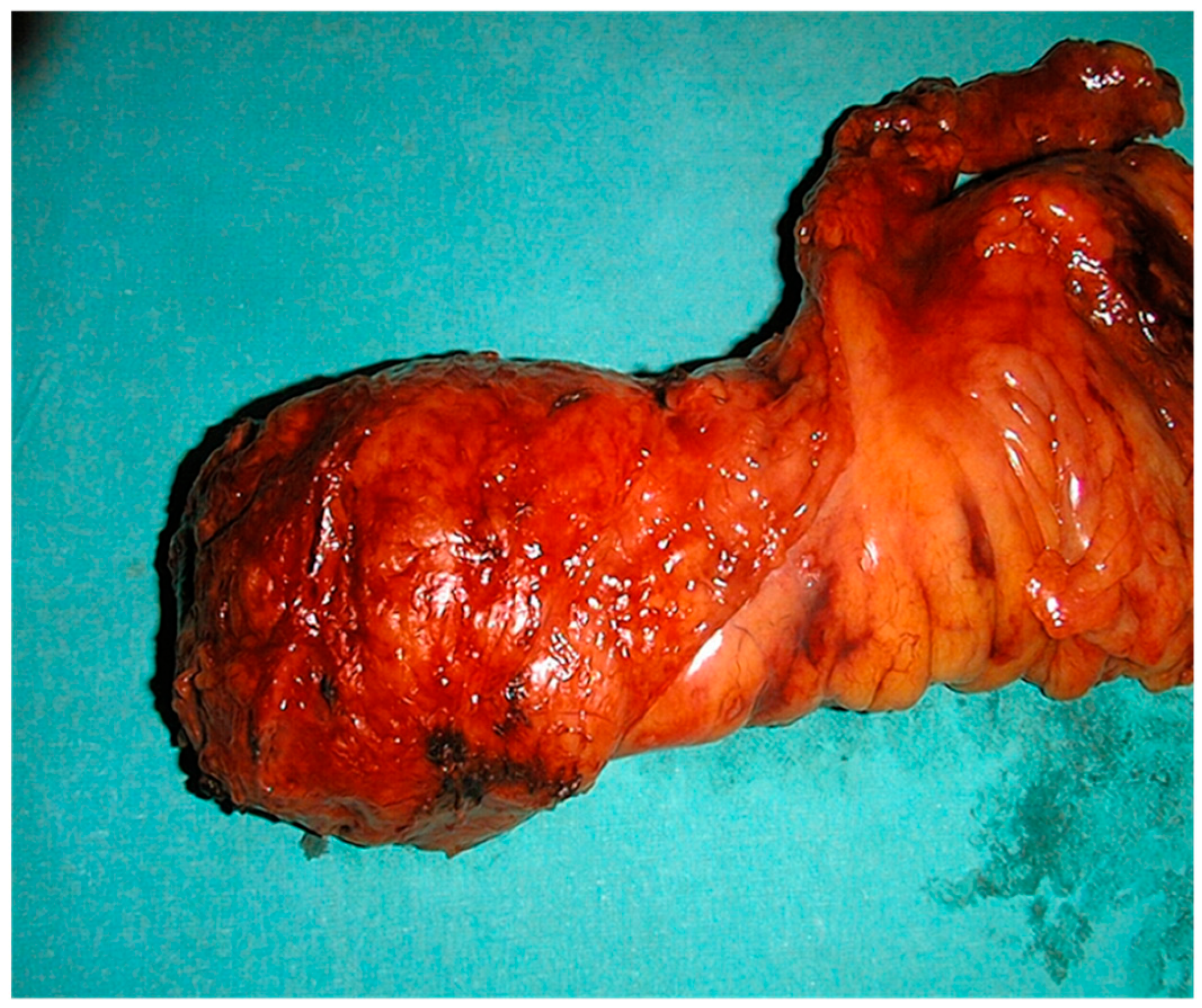 Biomedicines 13 03003 g001 Biomedicines 13 03003 g001