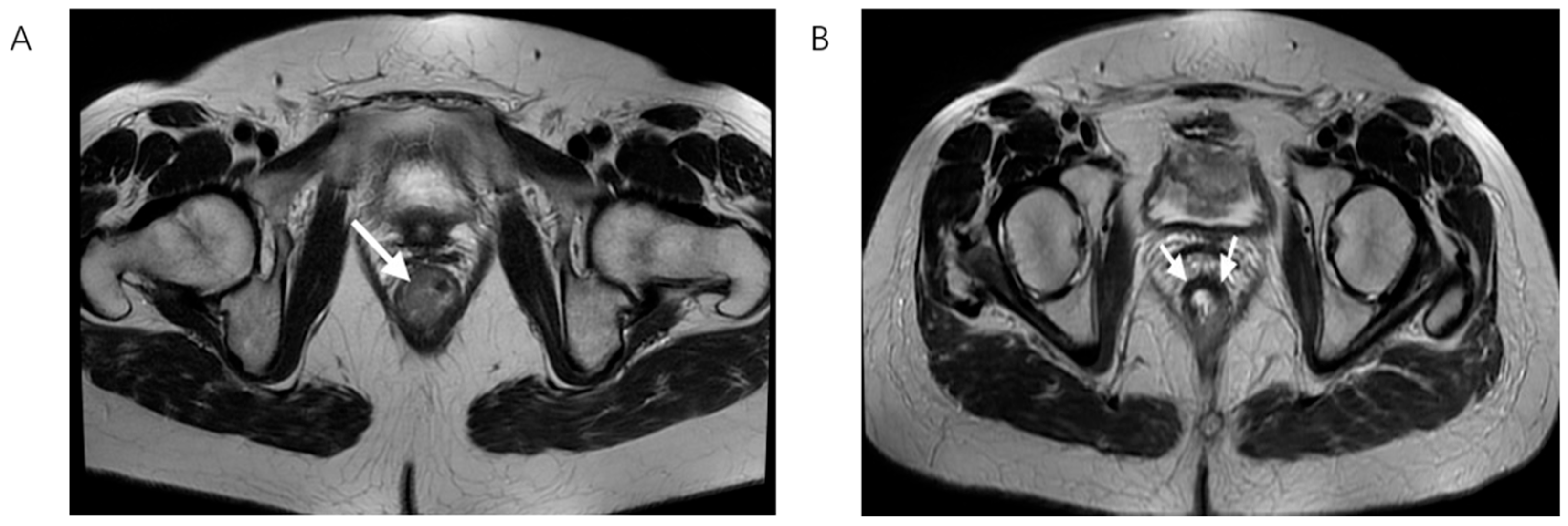 Biomedicines 13 03003 g002 Biomedicines 13 03003 g002