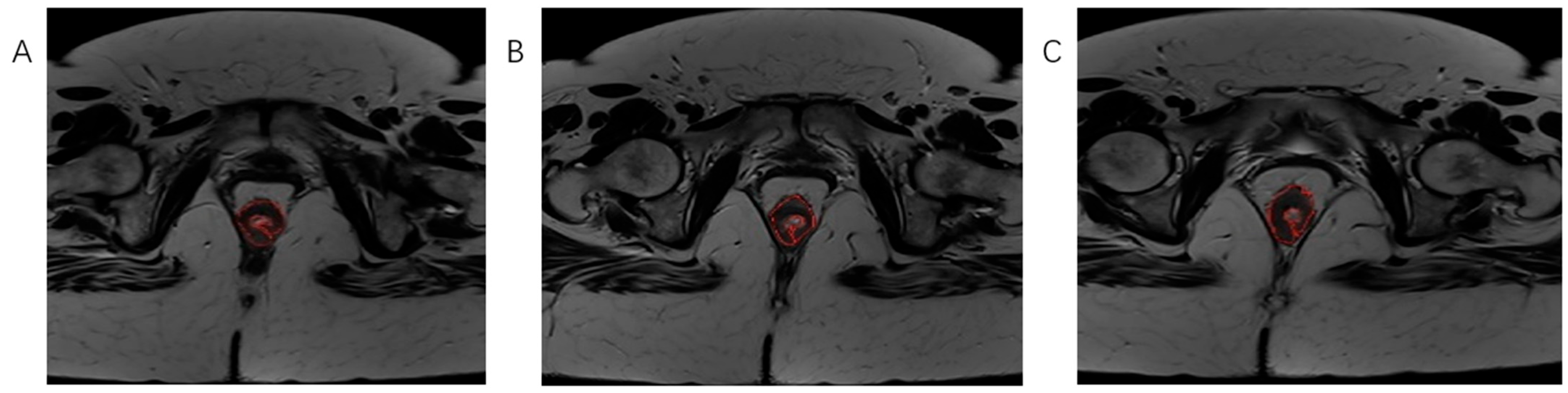 Biomedicines 13 03003 g003 Biomedicines 13 03003 g003