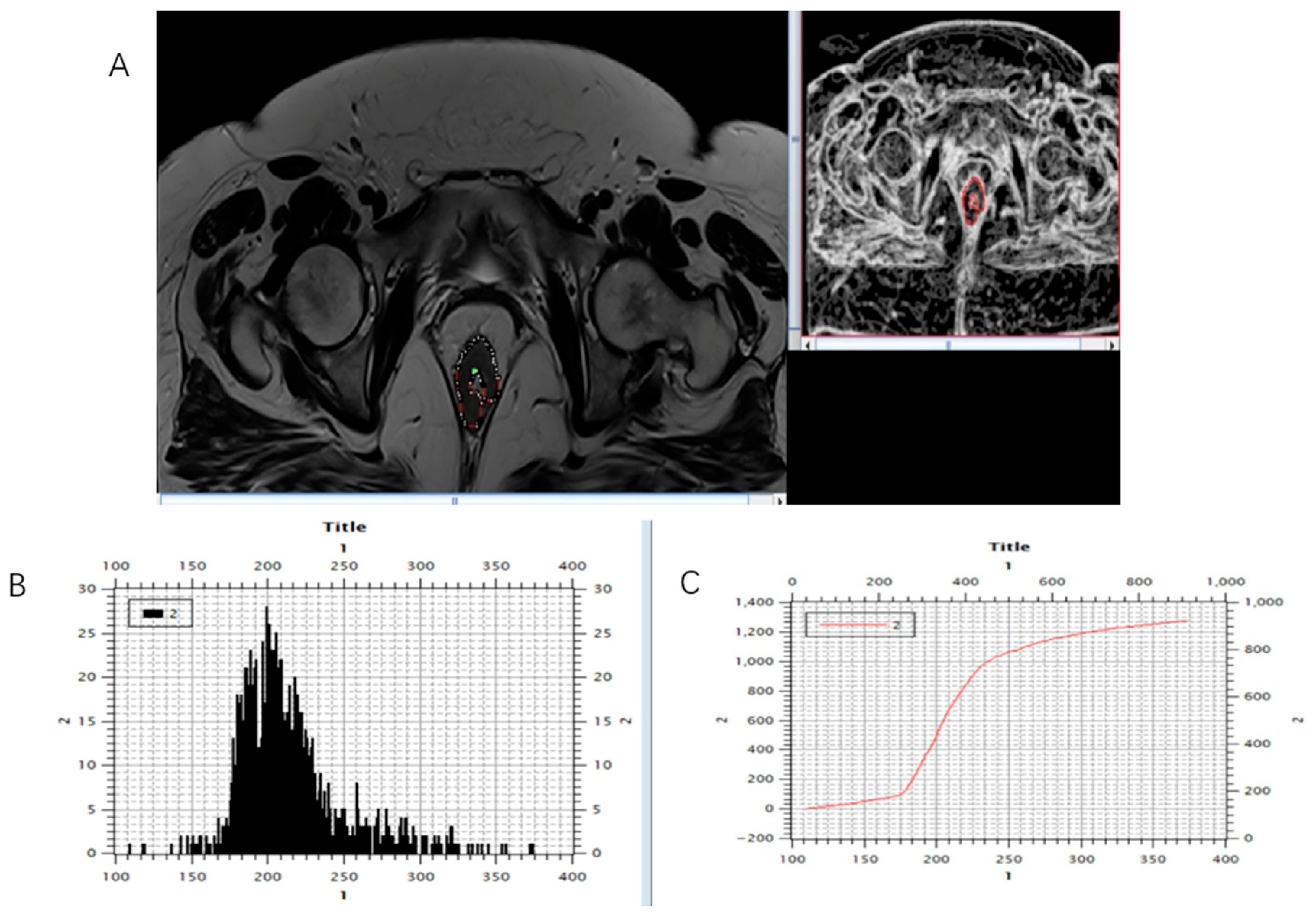 Biomedicines 13 03003 g004 Biomedicines 13 03003 g004