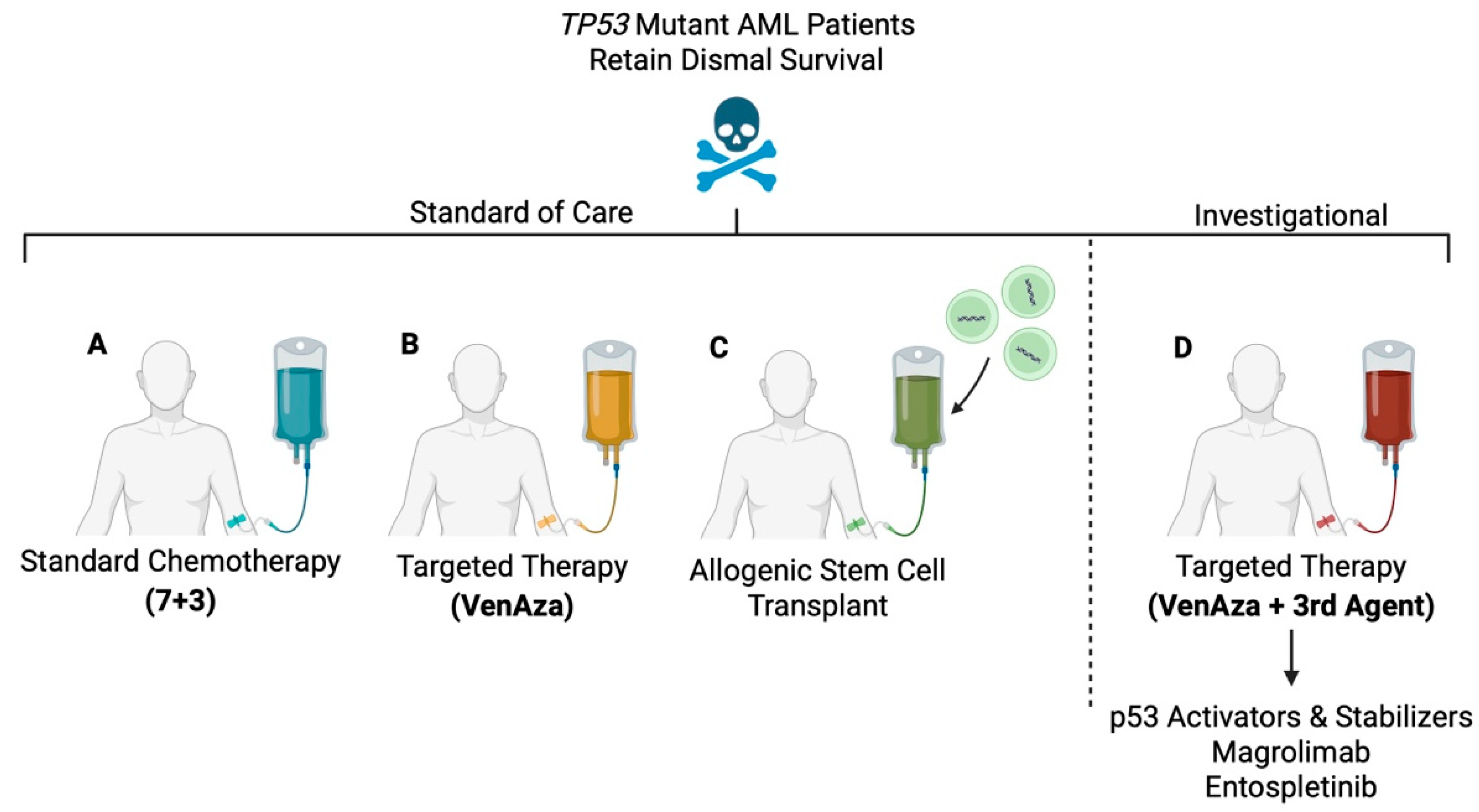 Biomedicines 13 03007 g002