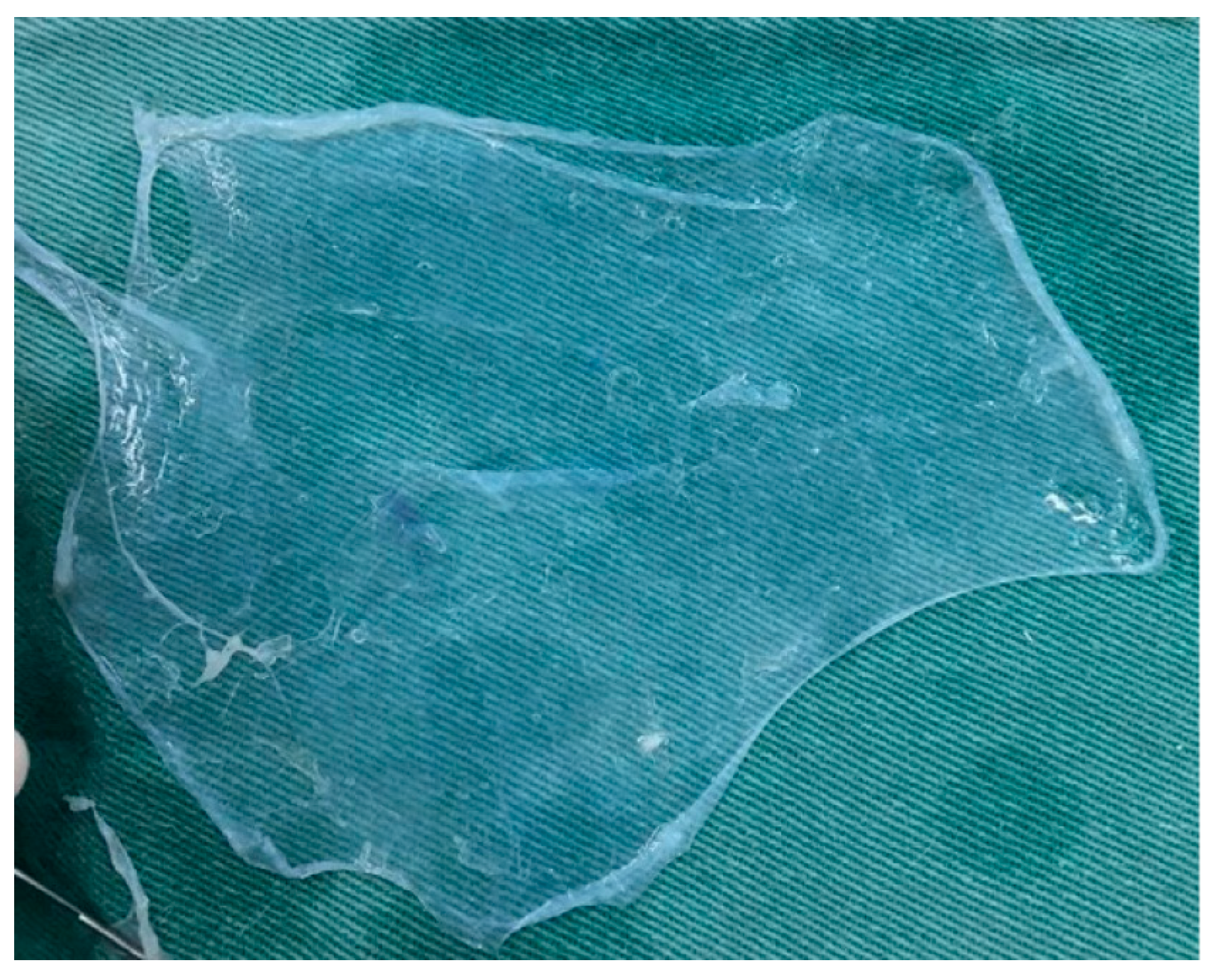 Biomedicines 13 03018 g002