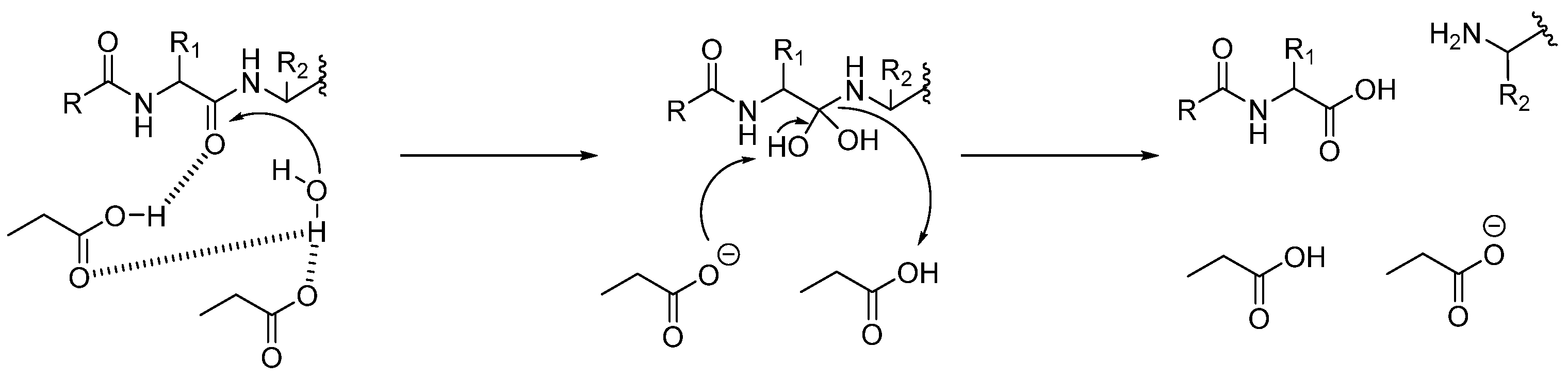 Biomedicines 13 03019 g002
