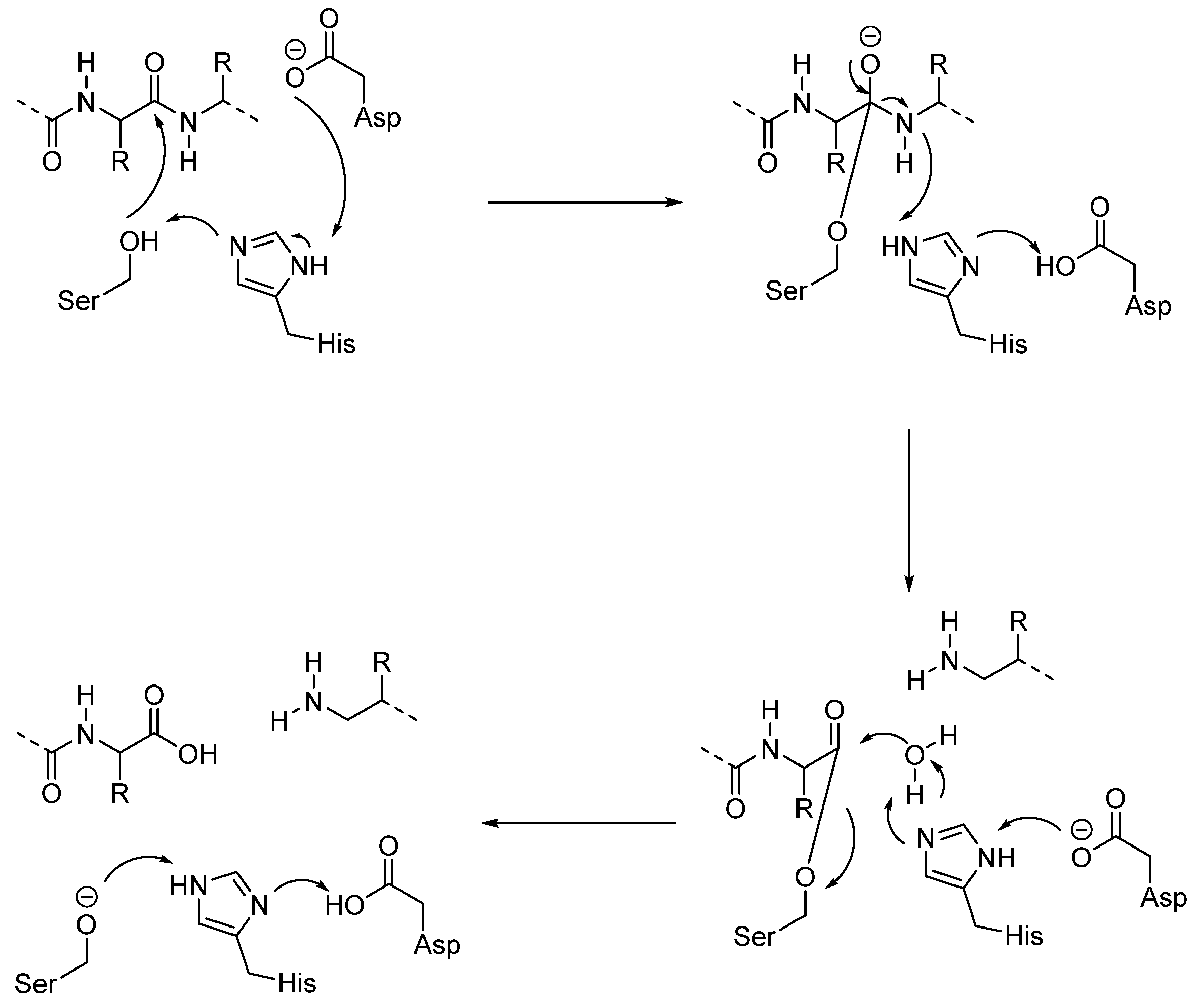Biomedicines 13 03019 g006
