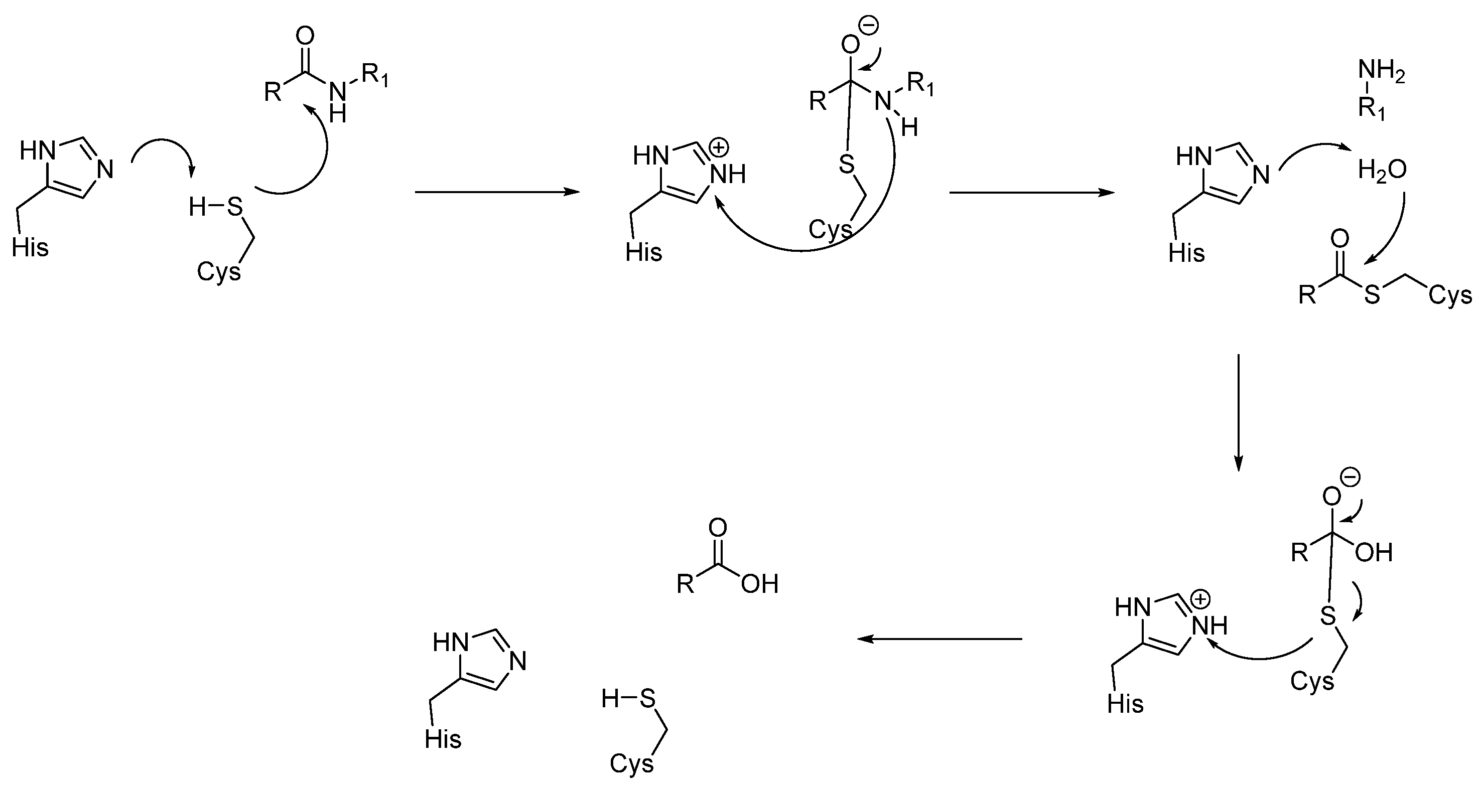 Biomedicines 13 03019 g007