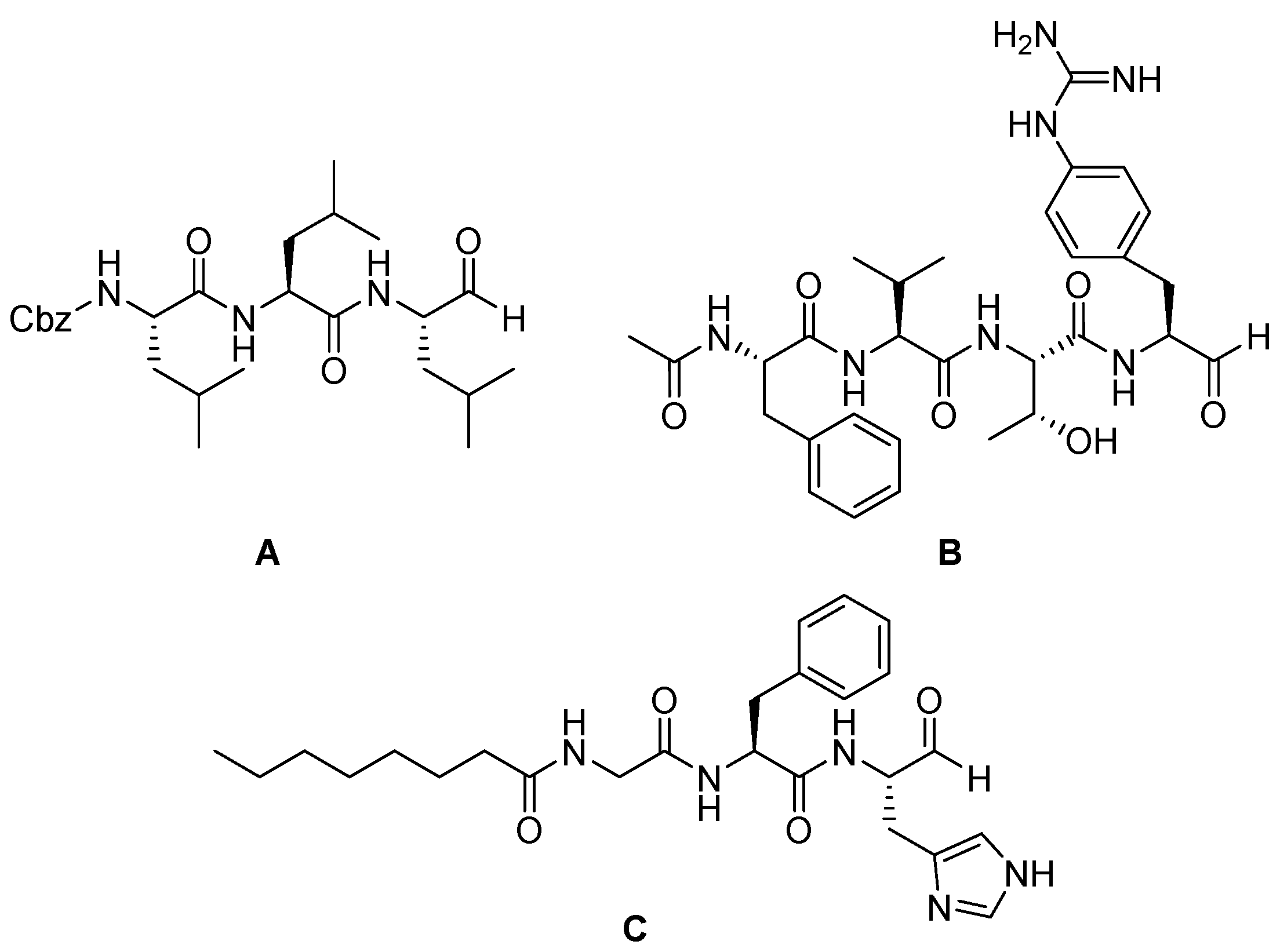 Biomedicines 13 03019 g010