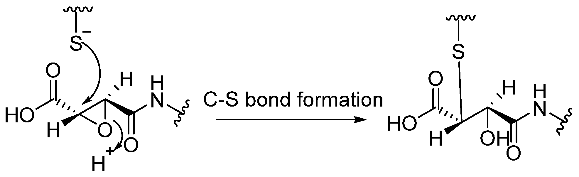 Biomedicines 13 03019 g011