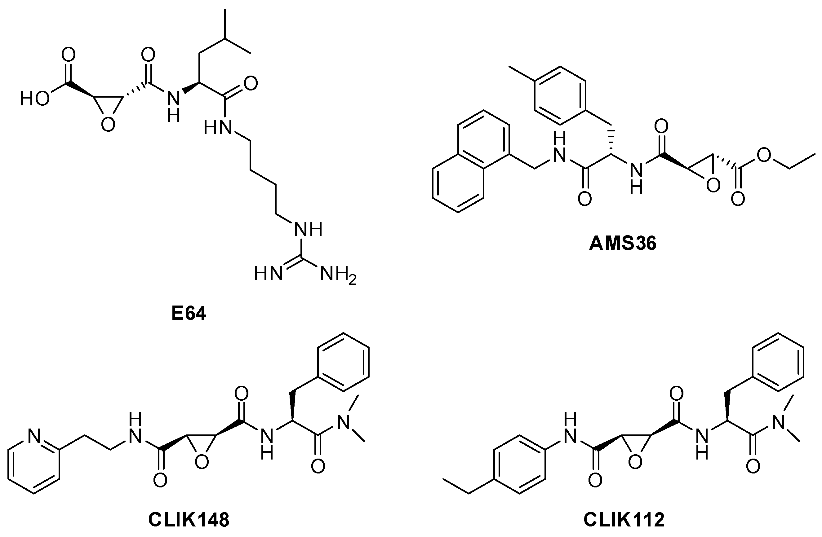 Biomedicines 13 03019 g012