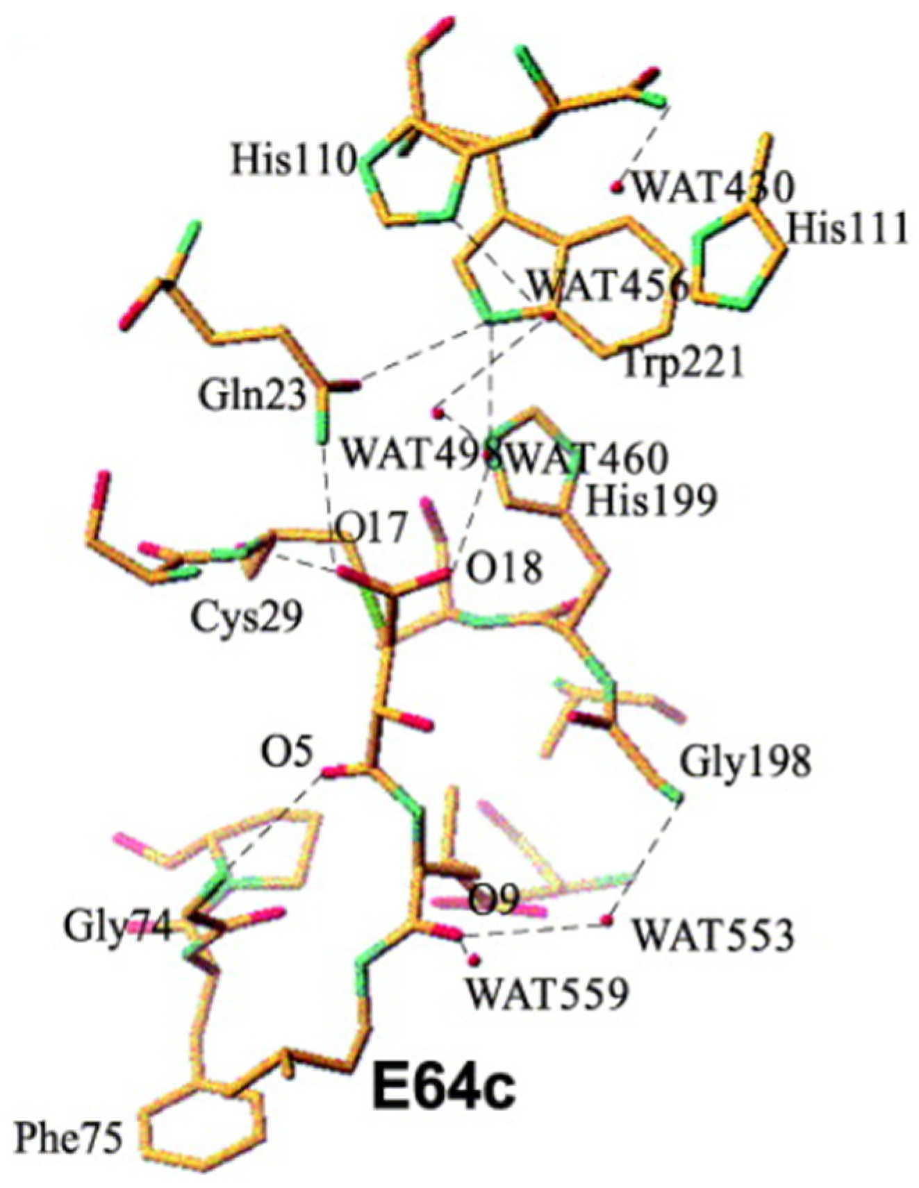 Biomedicines 13 03019 g013