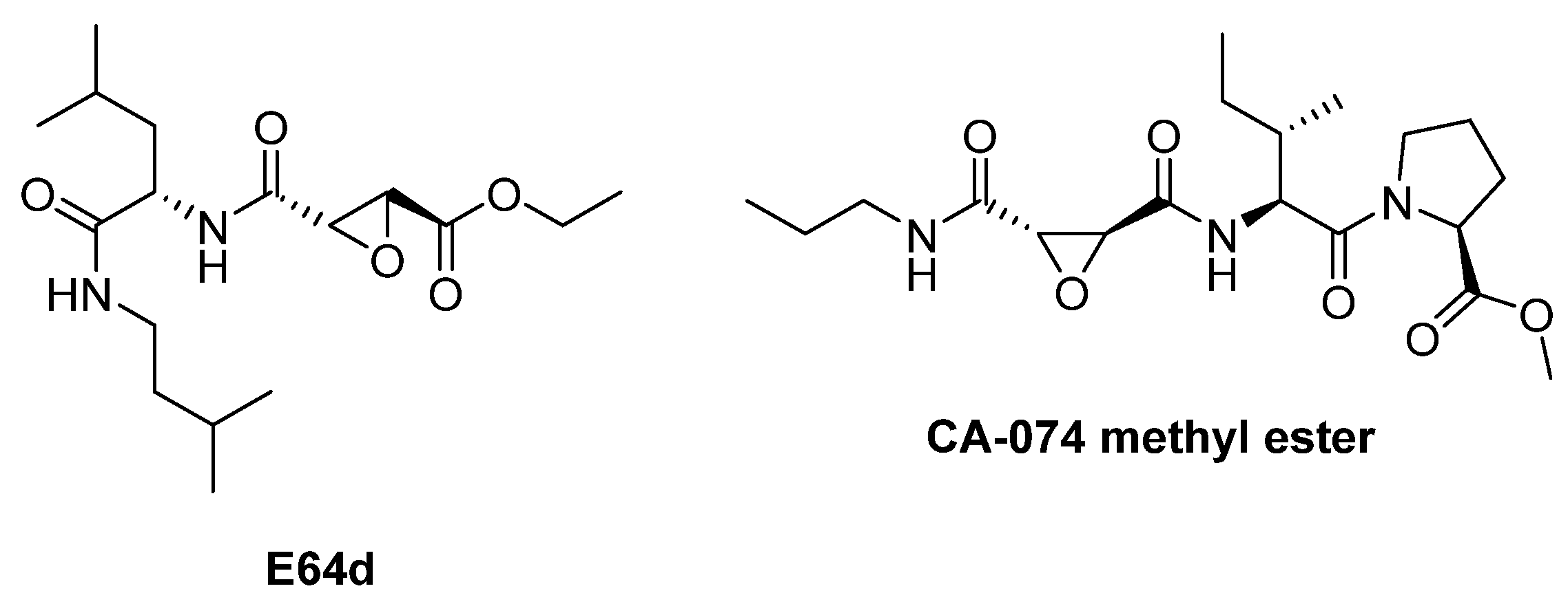 Biomedicines 13 03019 g014