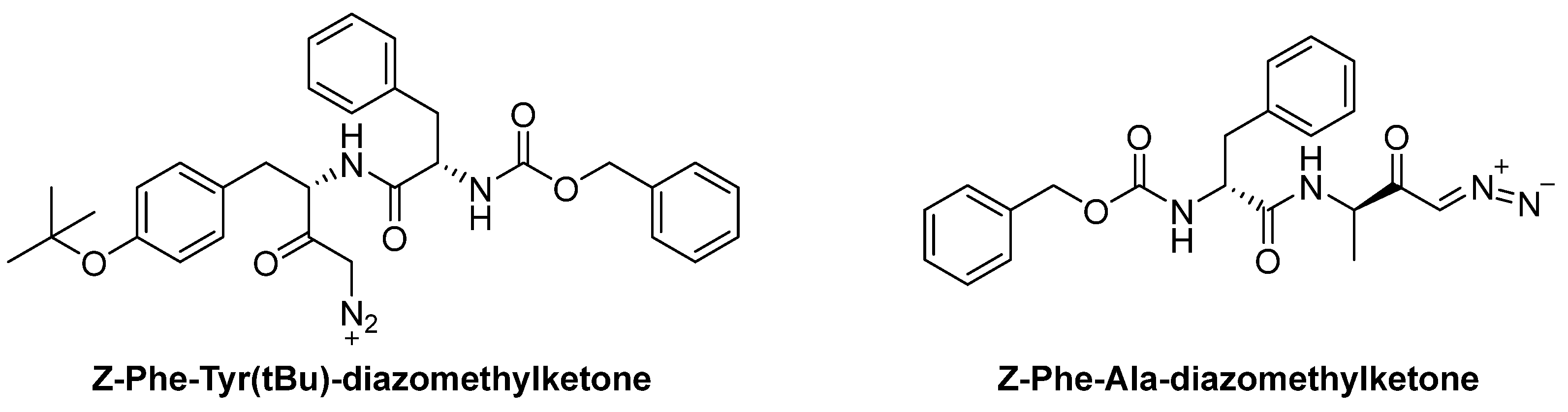 Biomedicines 13 03019 g015