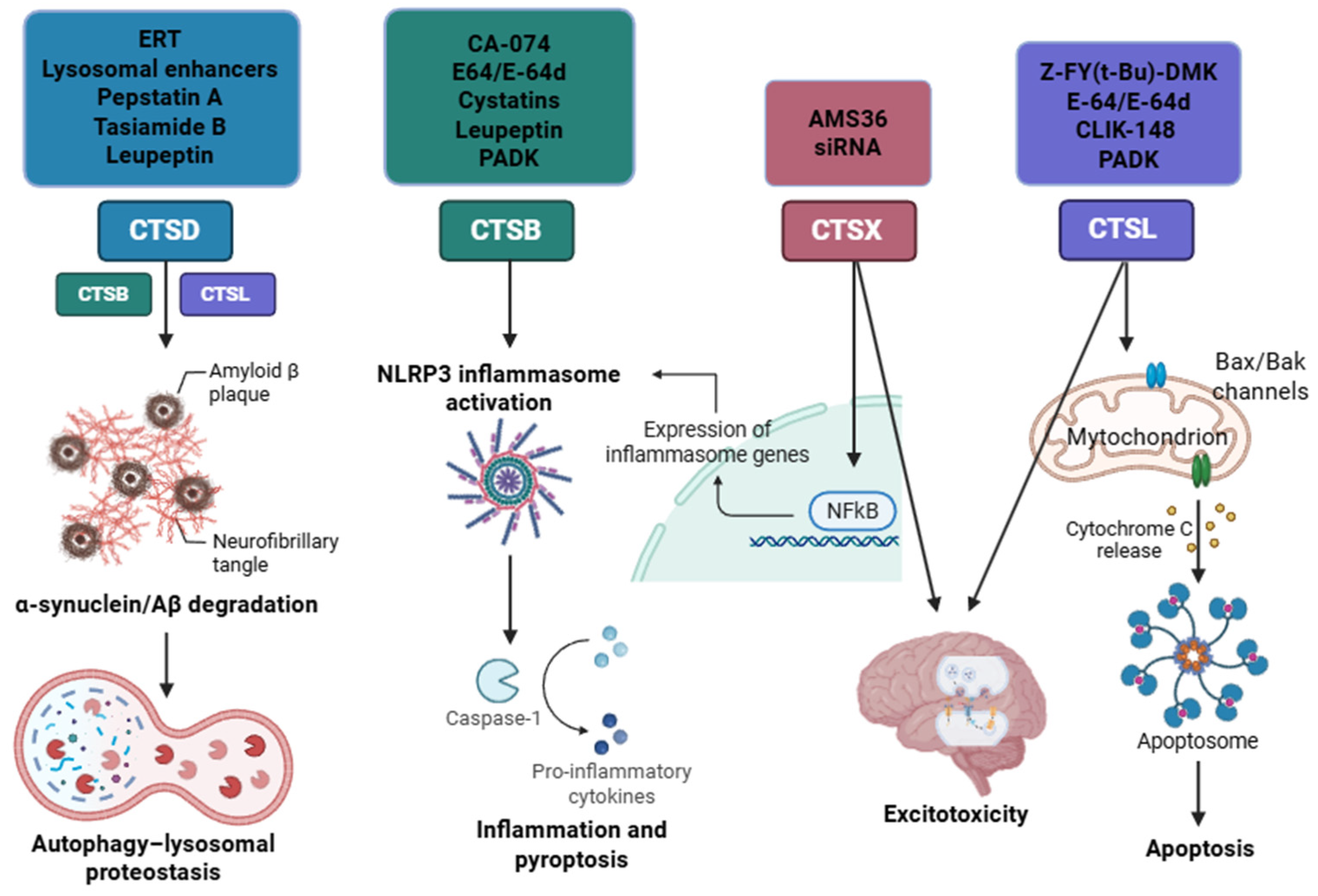 Biomedicines 13 03019 g019