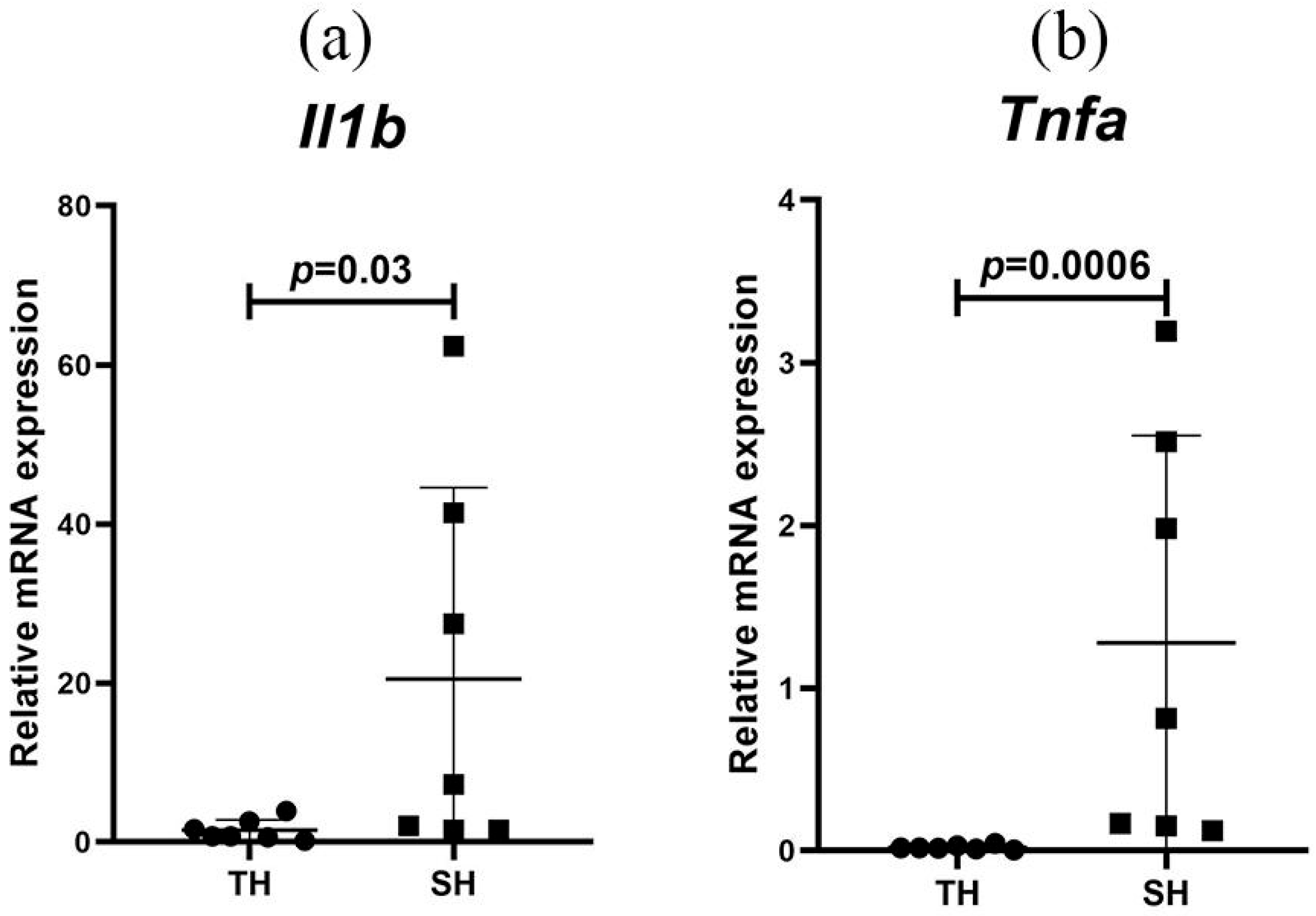 Biomedicines 13 03022 g003
