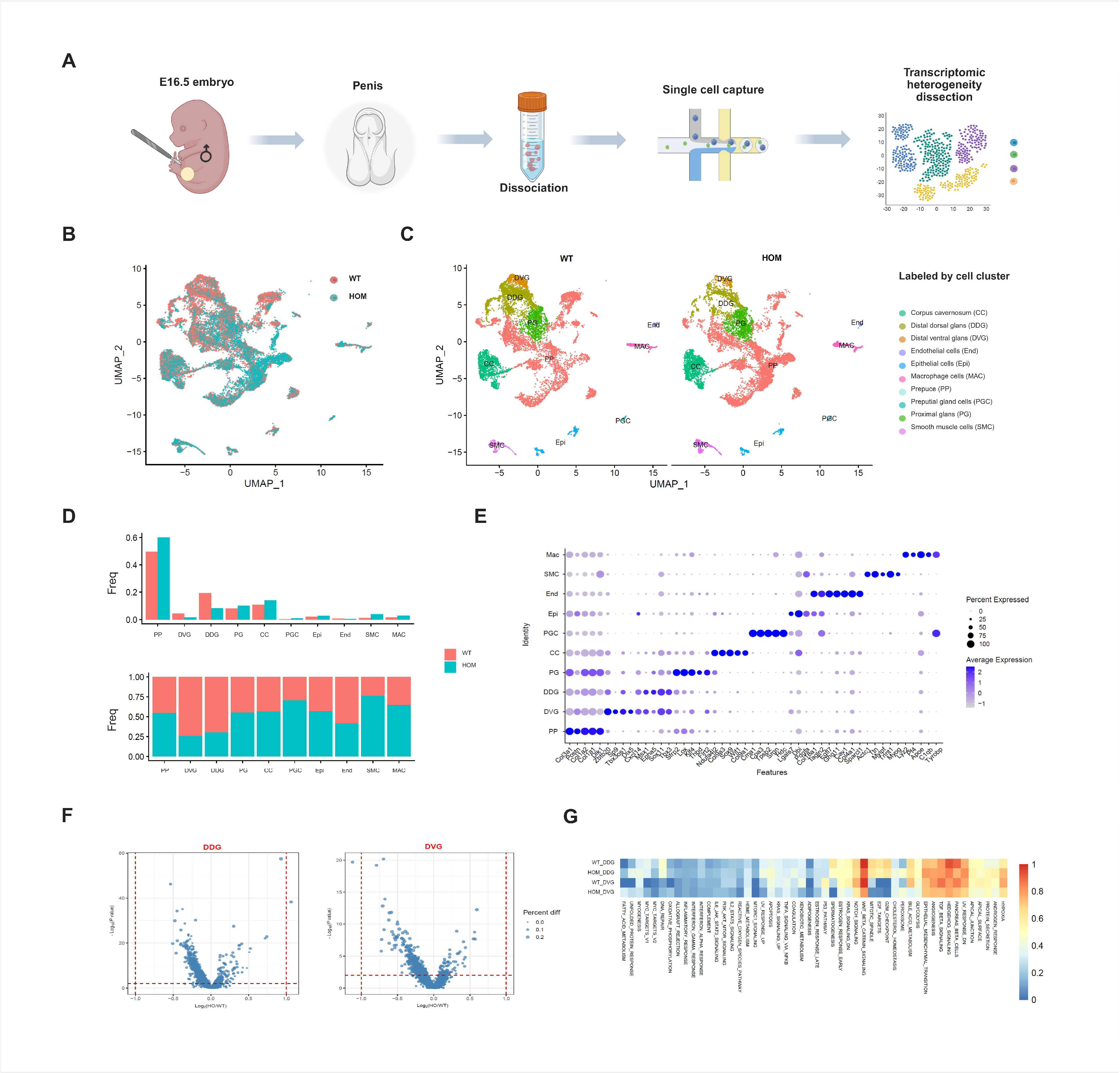 Biomedicines 13 03032 g002