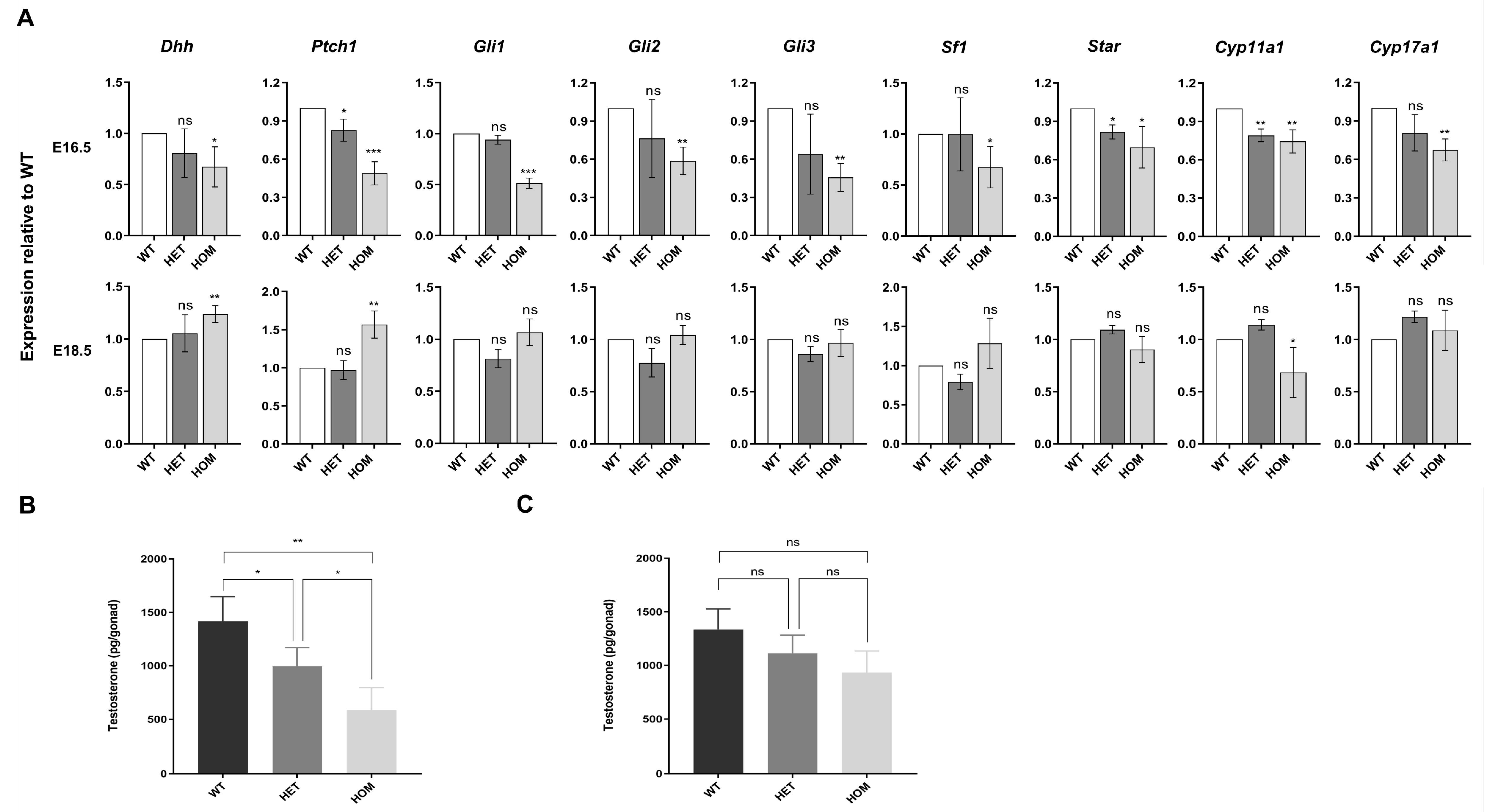 Biomedicines 13 03032 g004