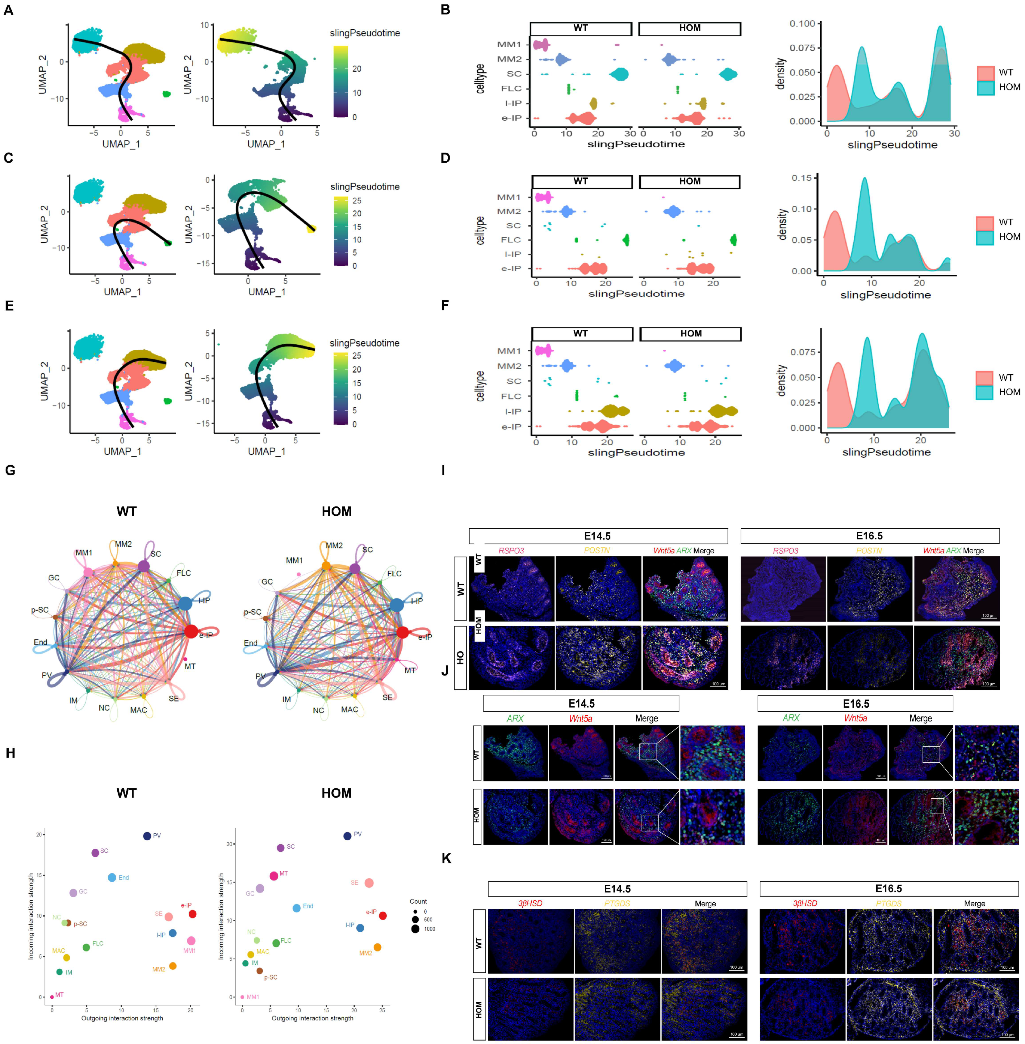 Biomedicines 13 03032 g006