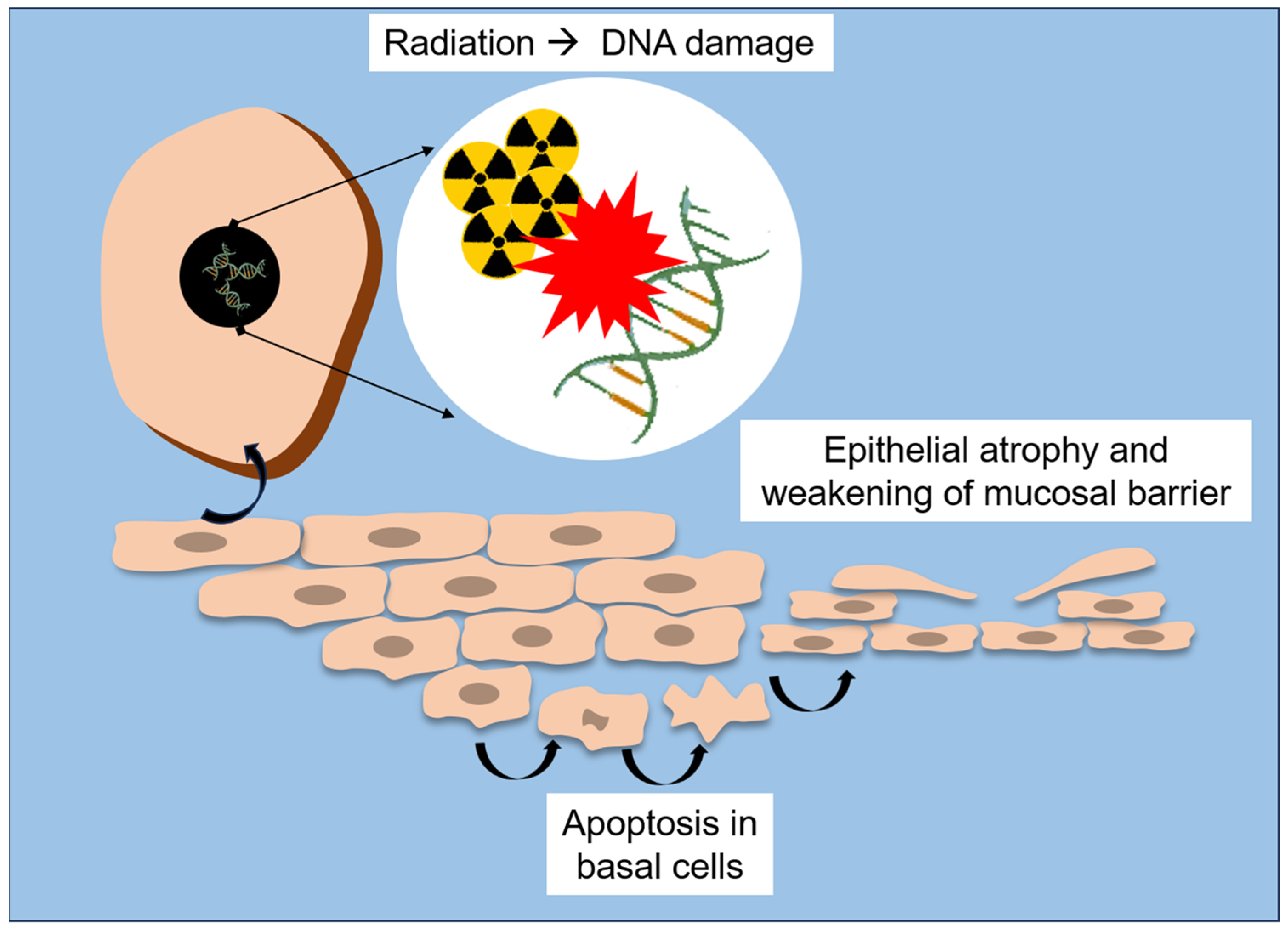 Biomedicines 13 03046 g002