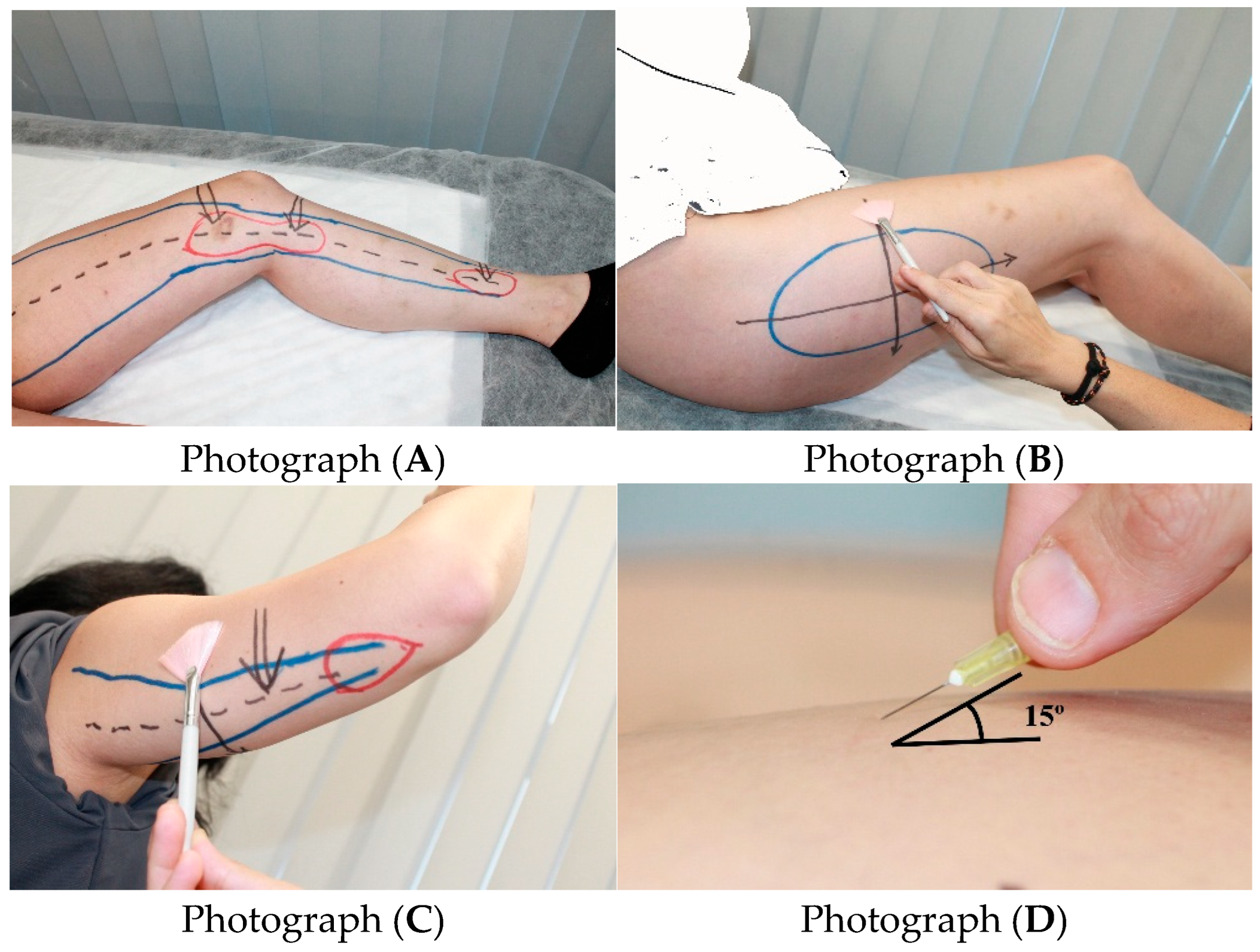 Biomedicines 13 03049 g001