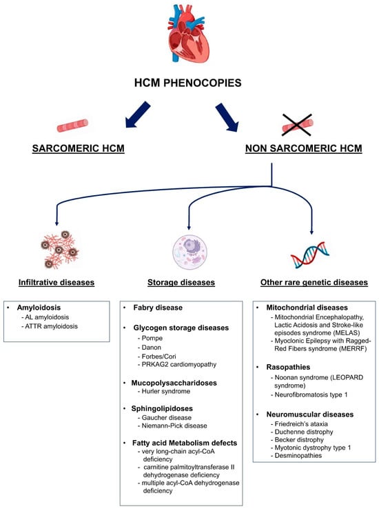 Biomedicines 13 03062 g001