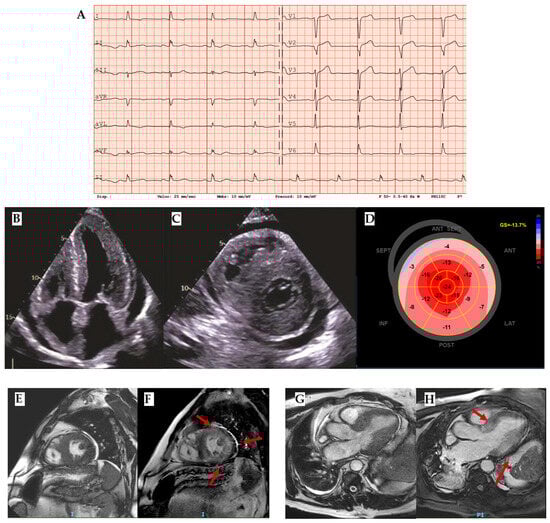 Biomedicines 13 03062 g005
