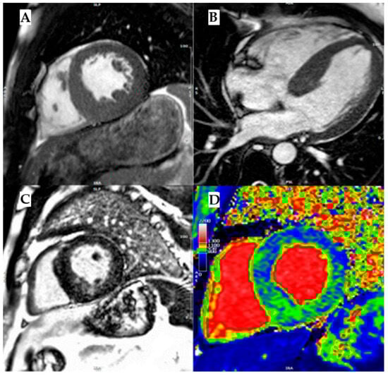 Biomedicines 13 03062 g006