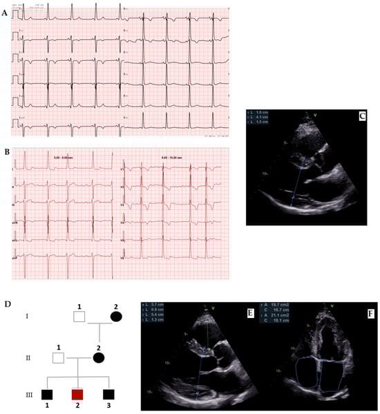 Biomedicines 13 03062 g007