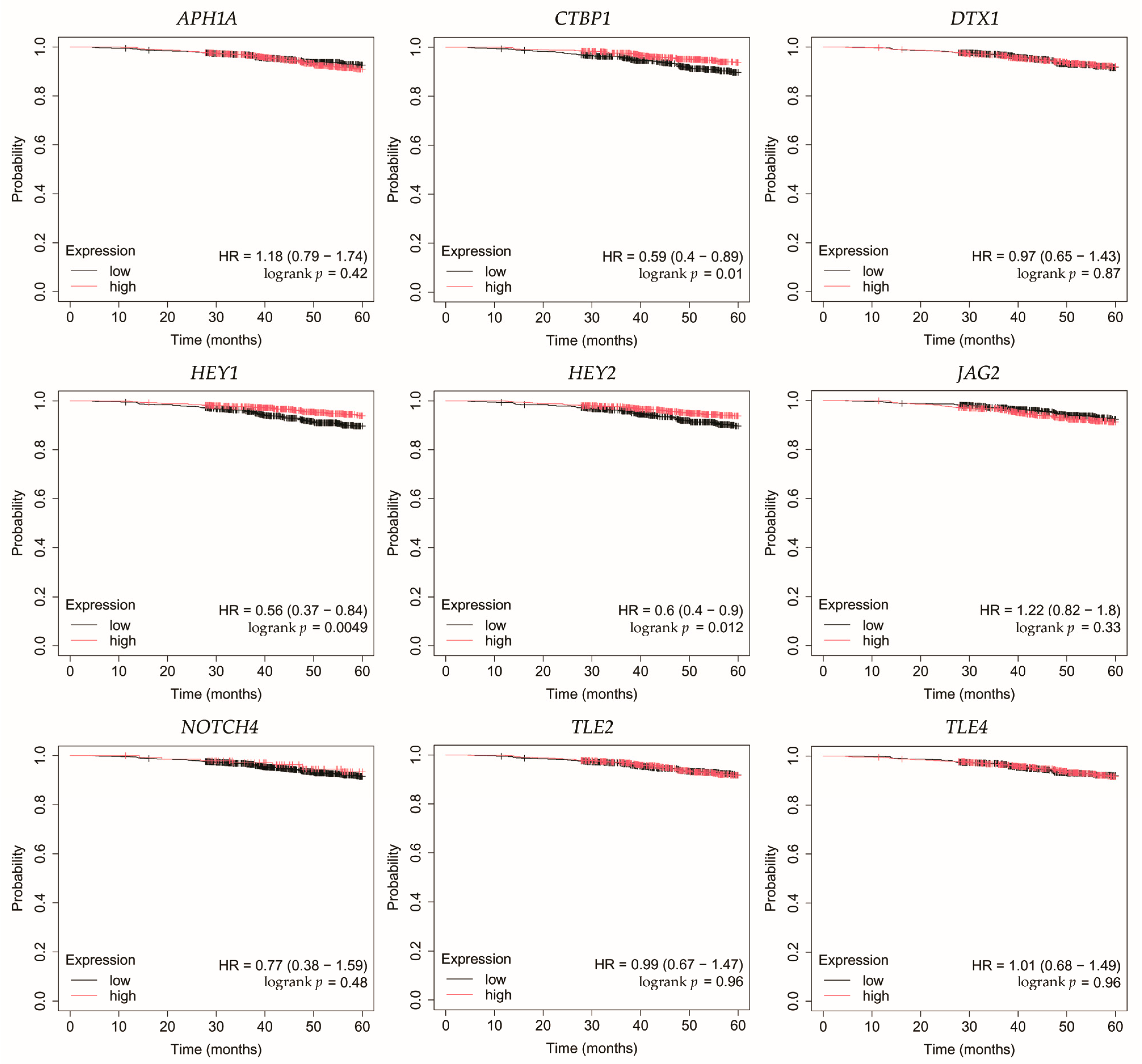 Biomedicines 13 03065 g004