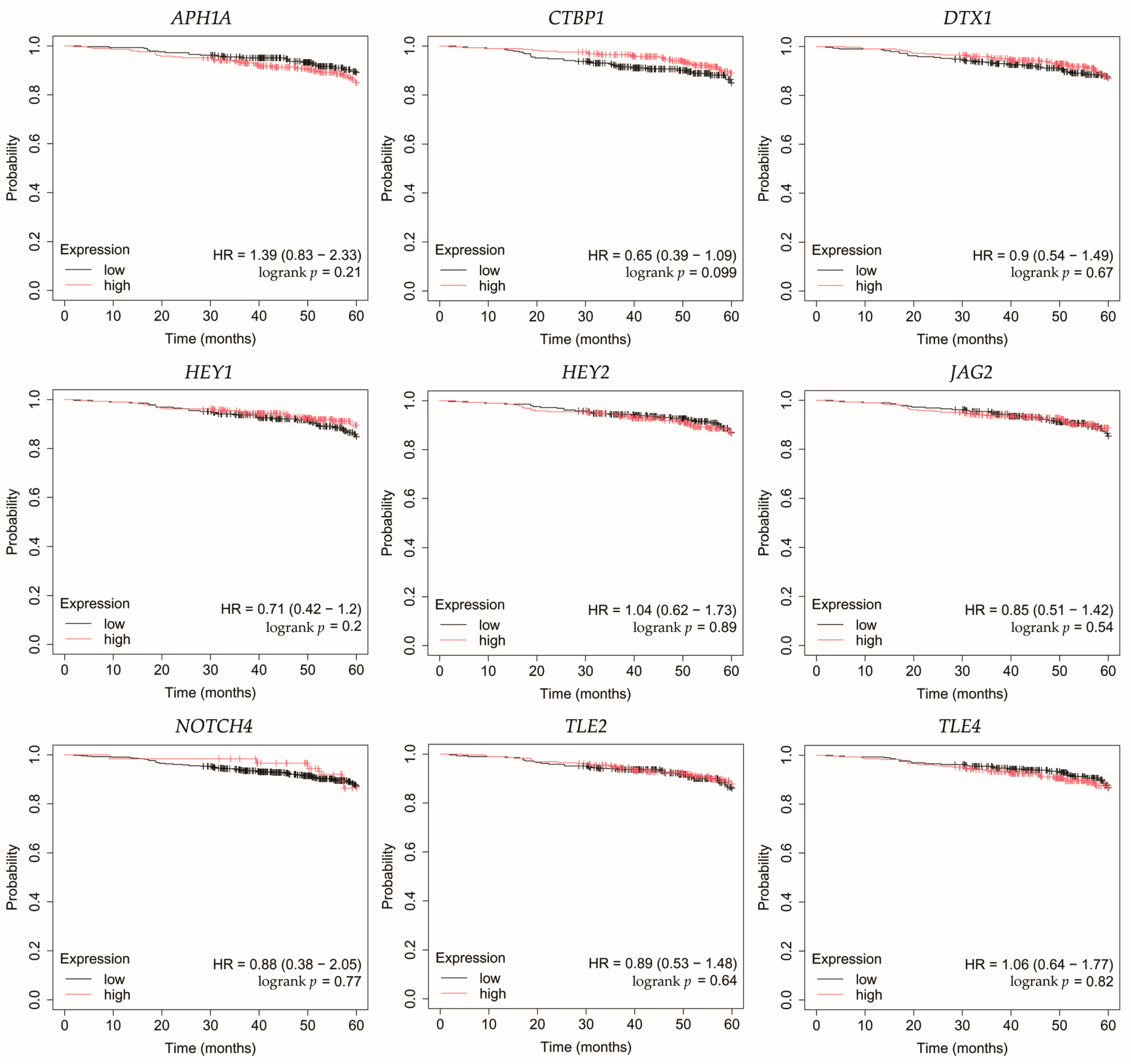 Biomedicines 13 03065 g005