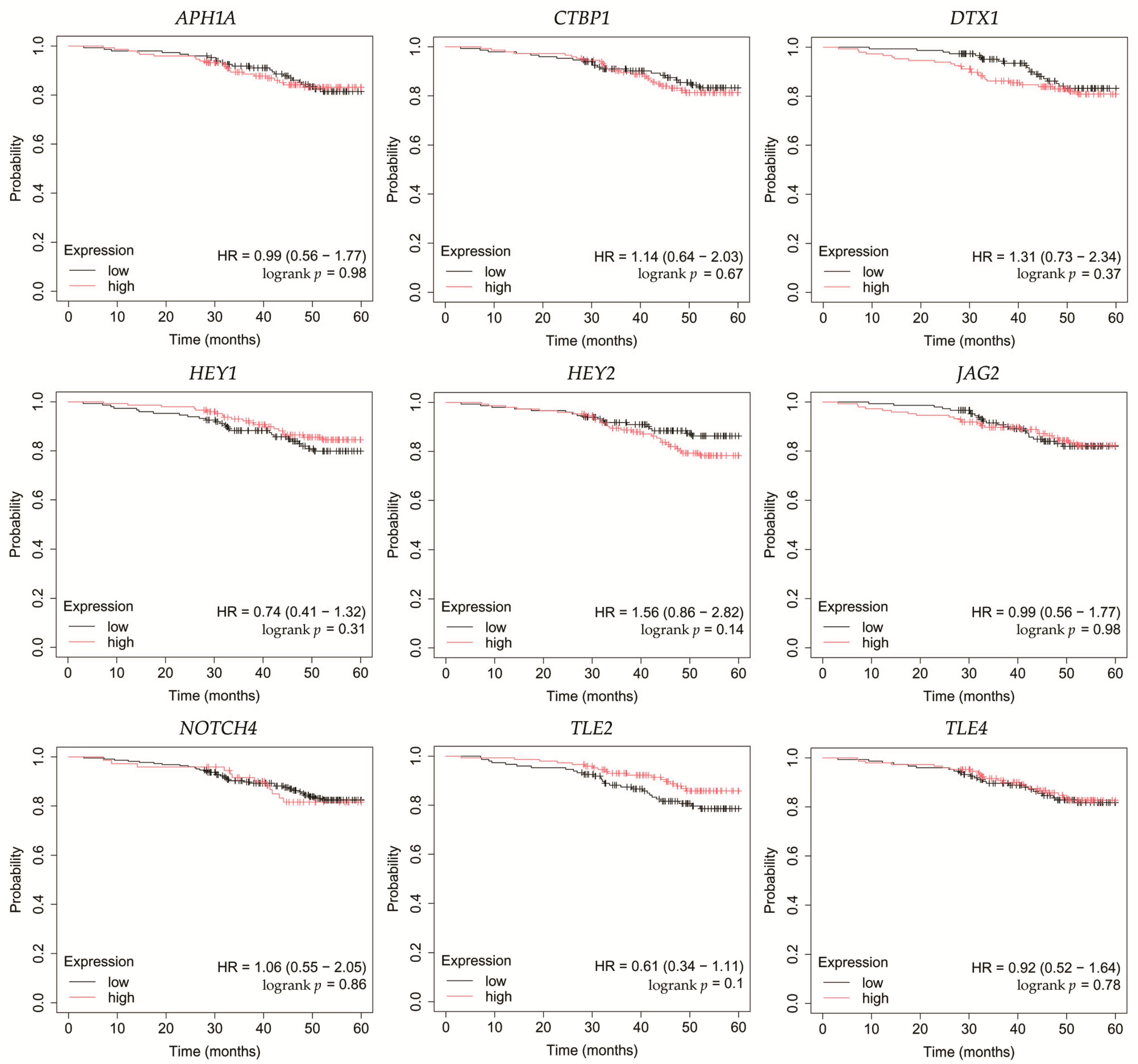 Biomedicines 13 03065 g007