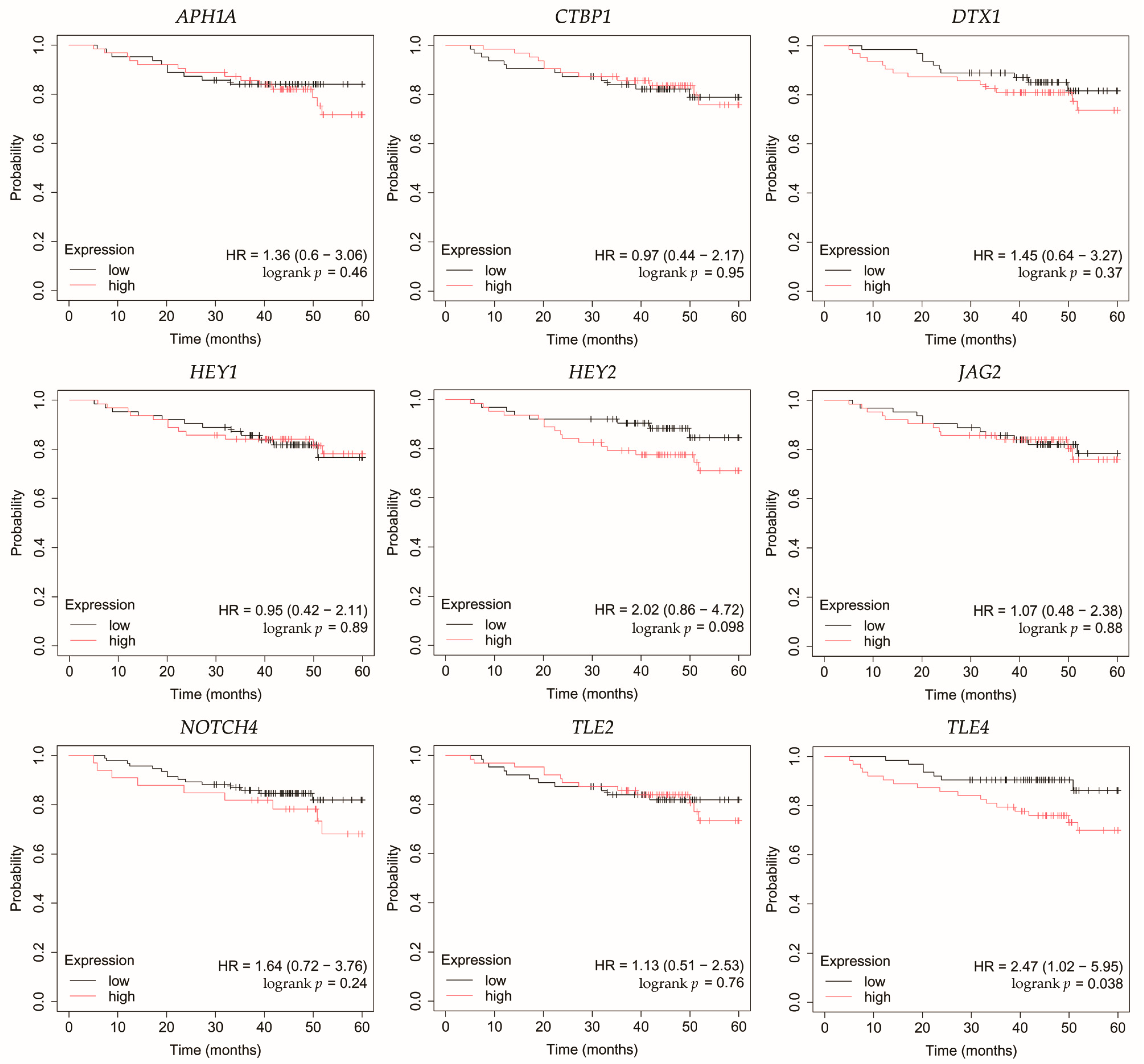 Biomedicines 13 03065 g008