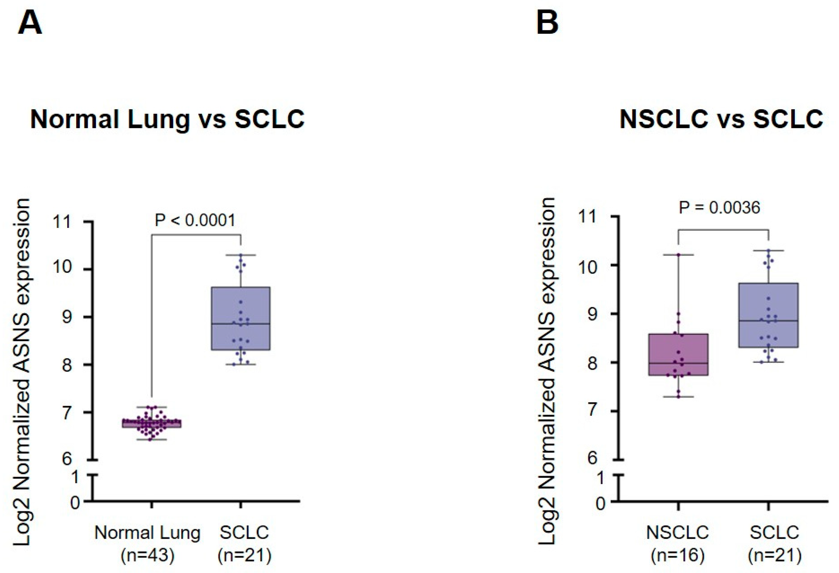 Biomedicines 13 03087 g001