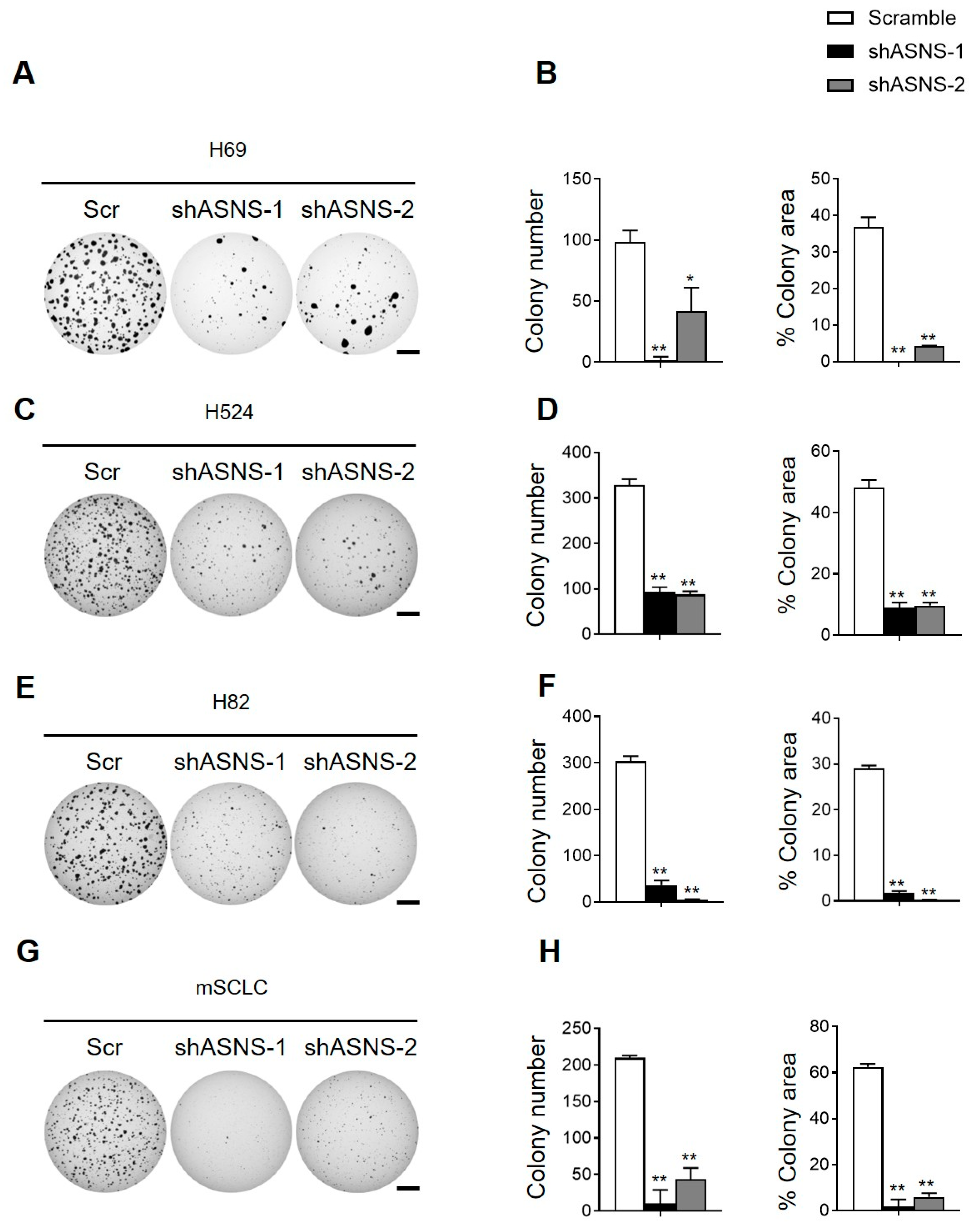 Biomedicines 13 03087 g004