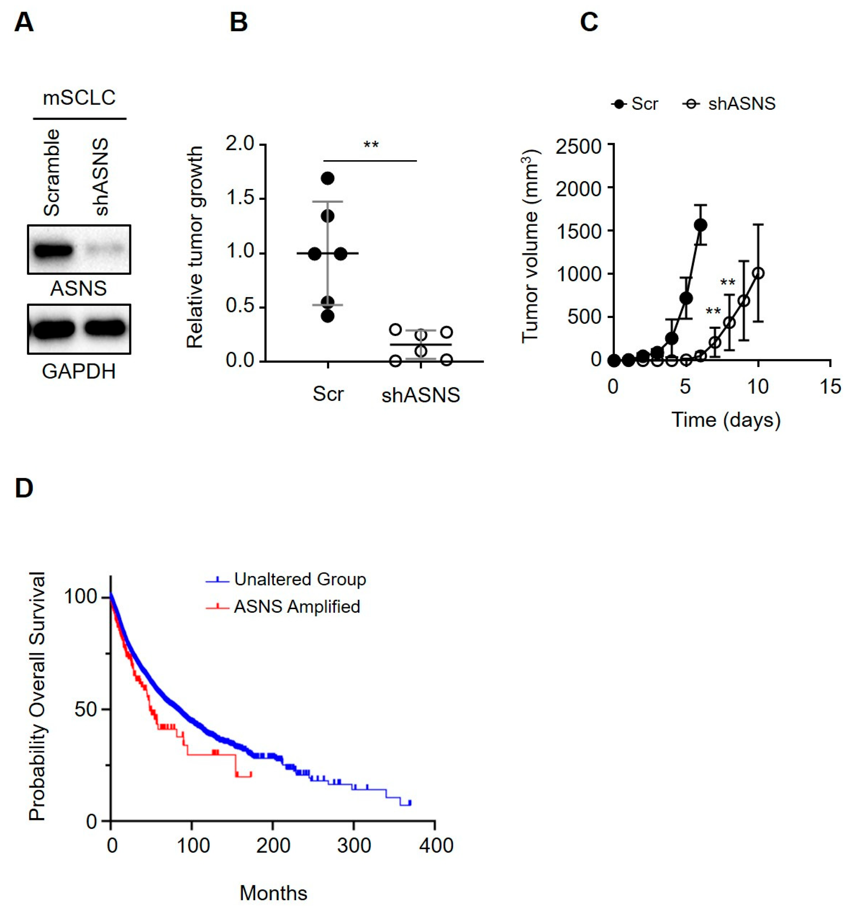 Biomedicines 13 03087 g006