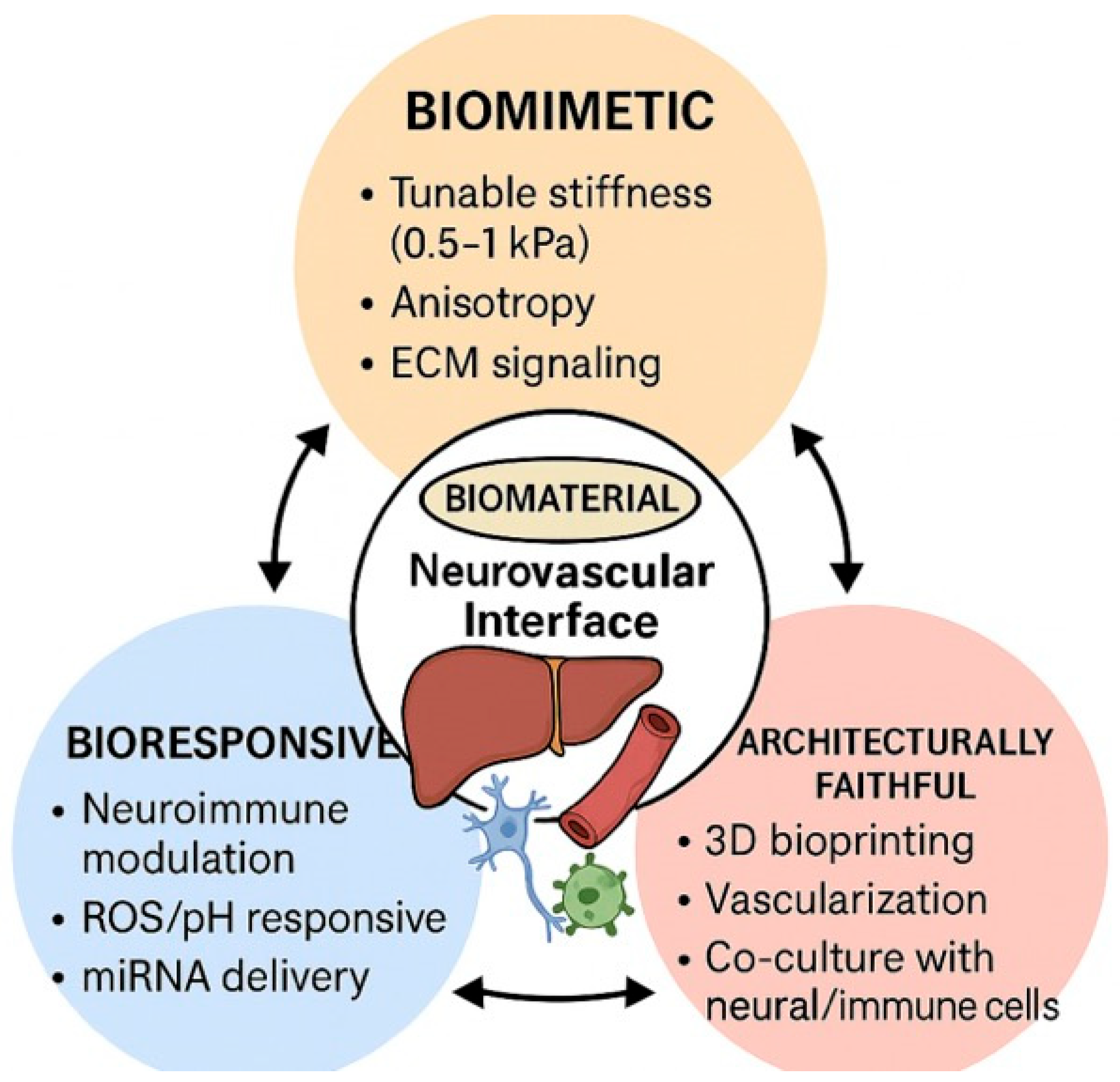 Biomedicines 13 03091 g003