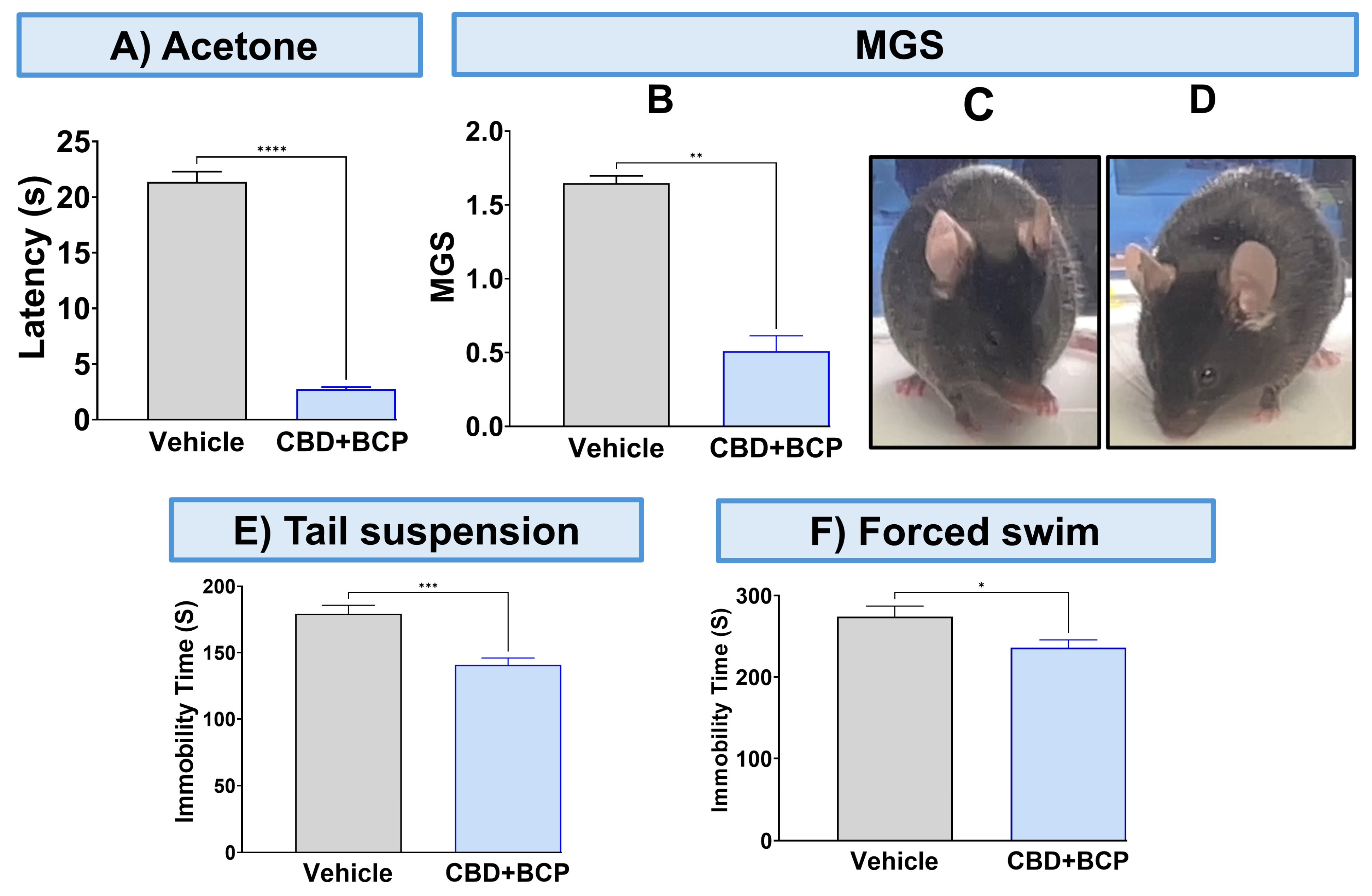 Biomedicines 13 03103 g002