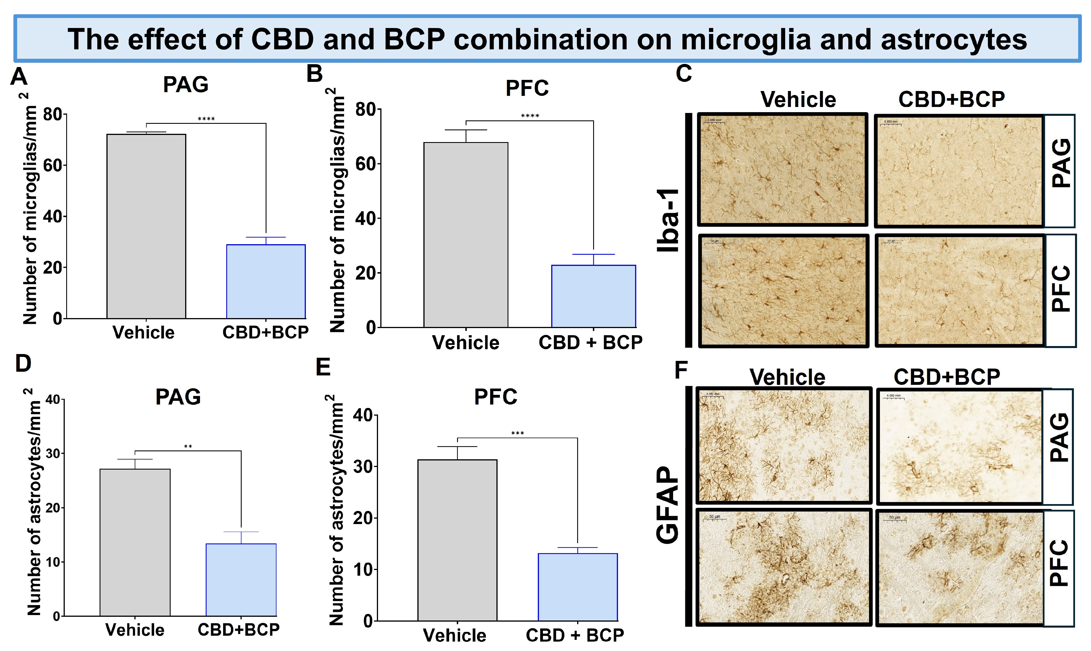 Biomedicines 13 03103 g005