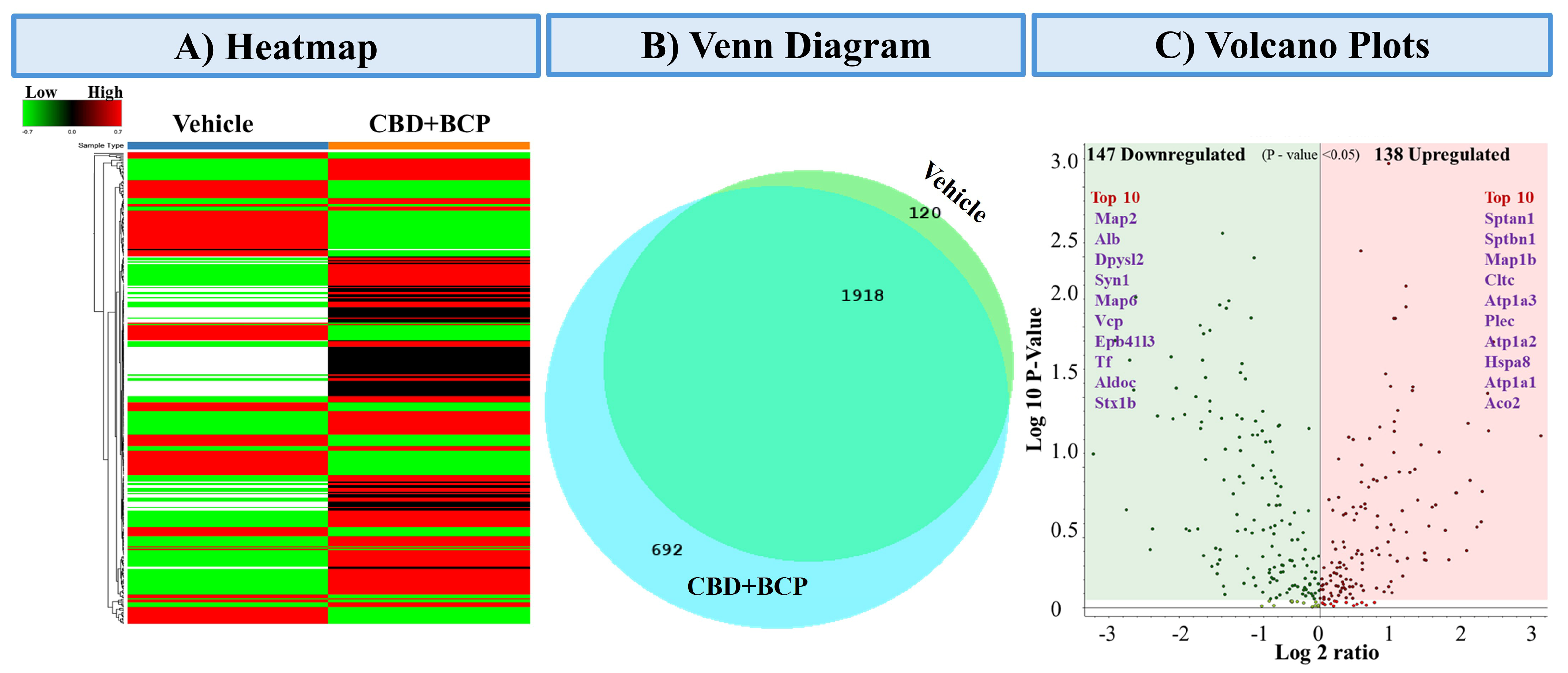 Biomedicines 13 03103 g006