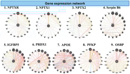 Biomedicines 13 03103 g007