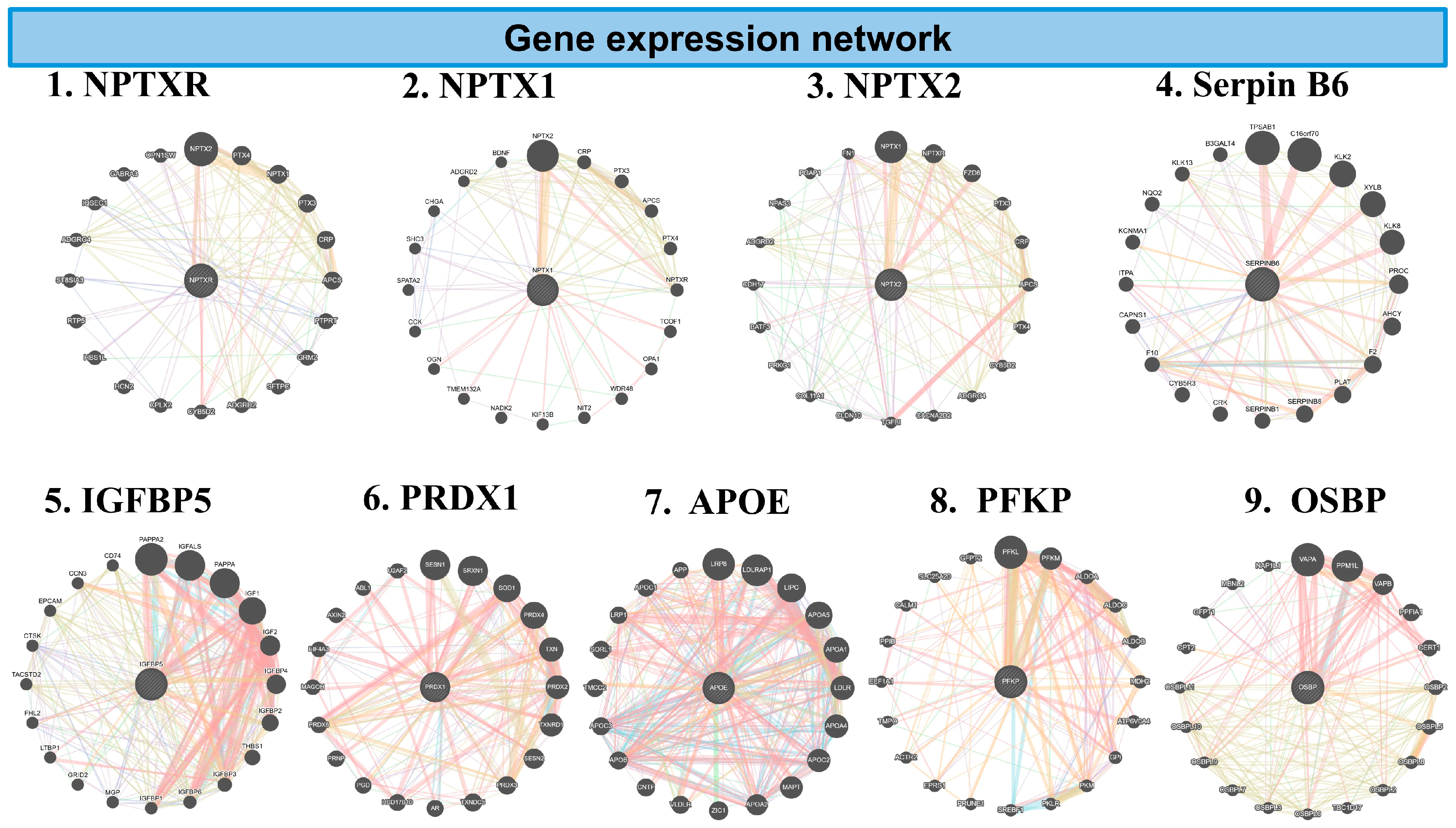 Biomedicines 13 03103 g007
