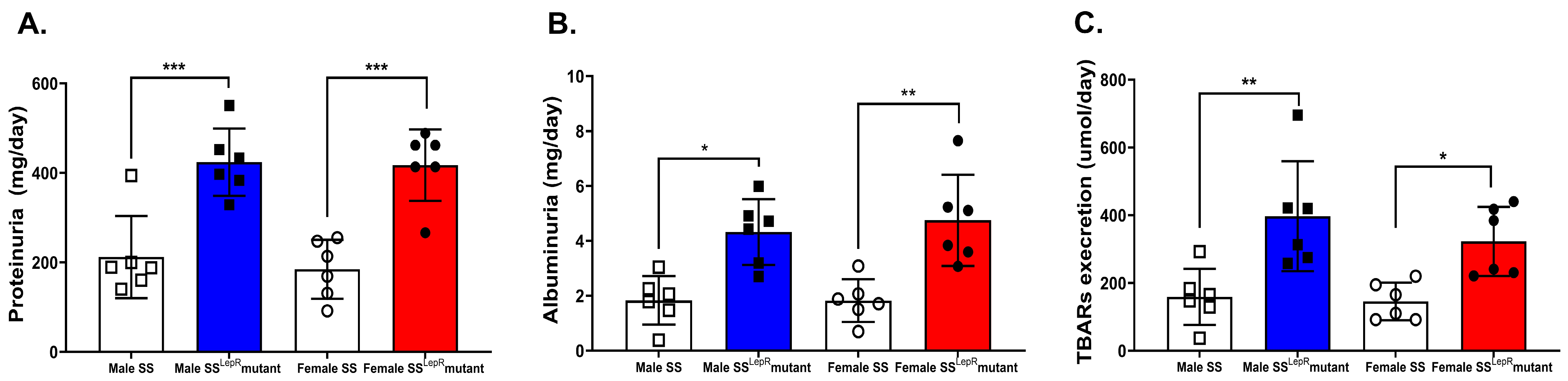 Biomedicines 13 03105 g003
