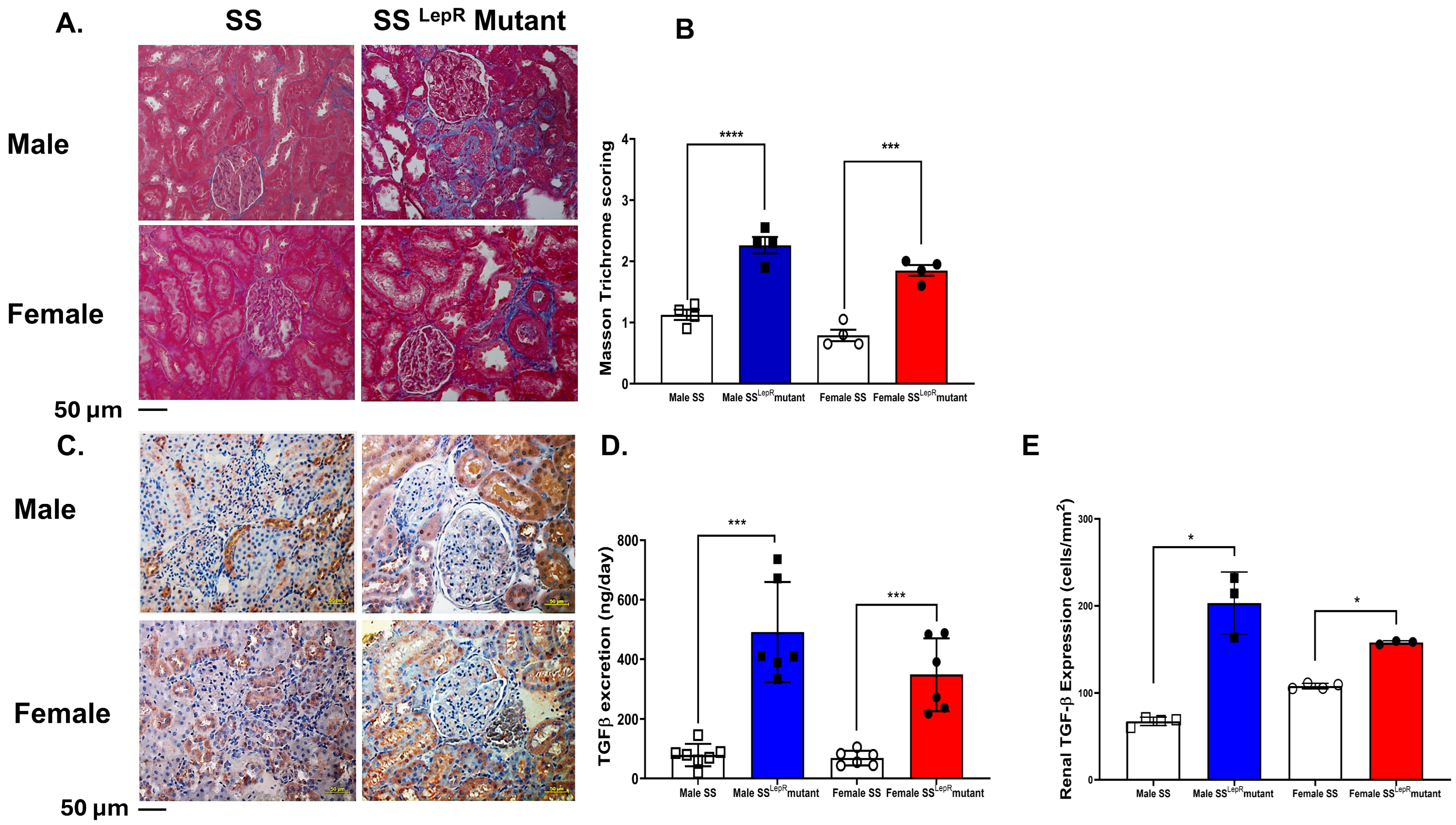 Biomedicines 13 03105 g004