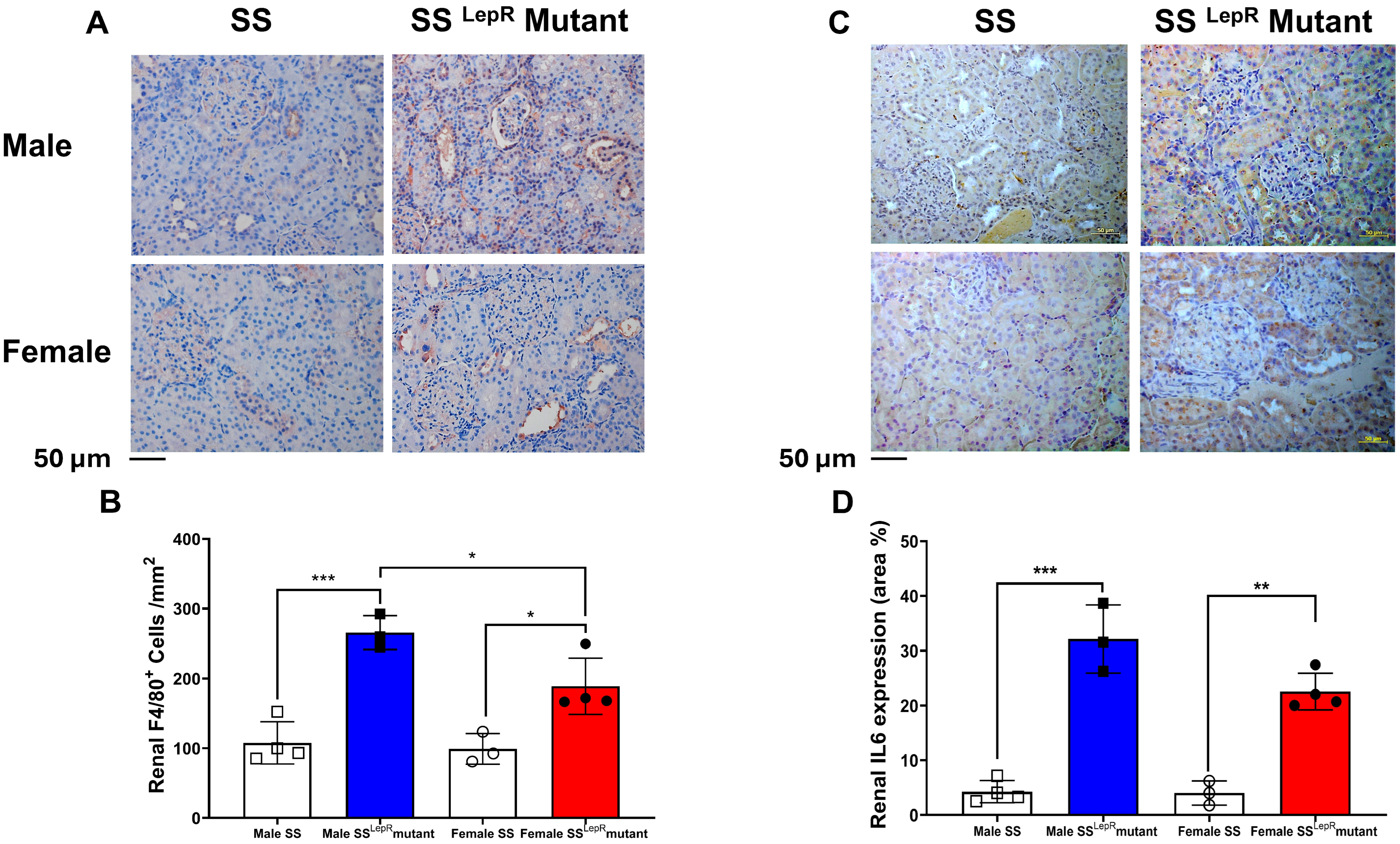 Biomedicines 13 03105 g005