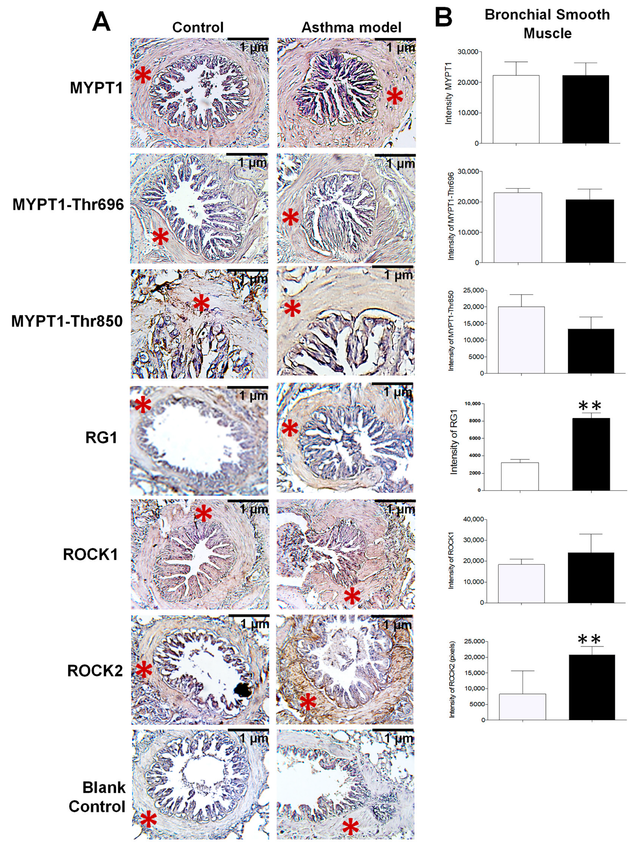 Biomedicines 13 03111 g003