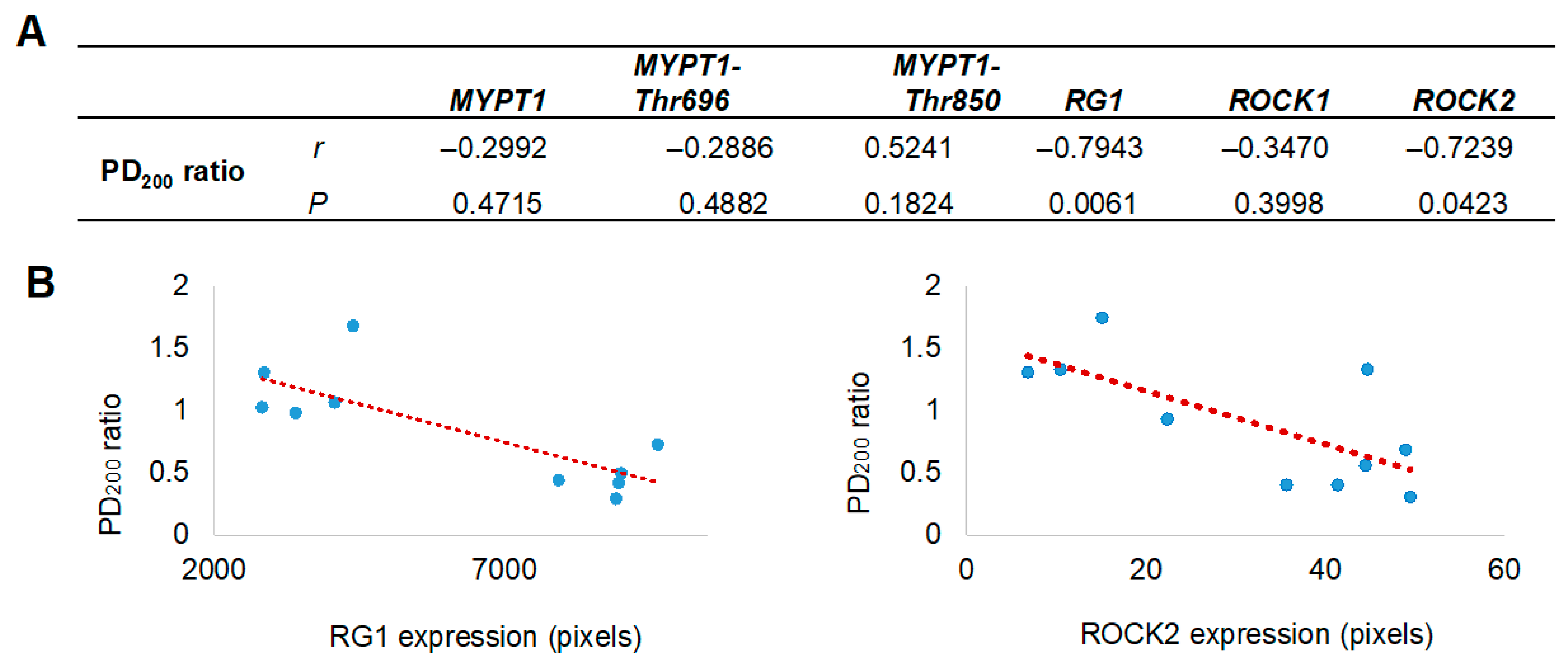 Biomedicines 13 03111 g004