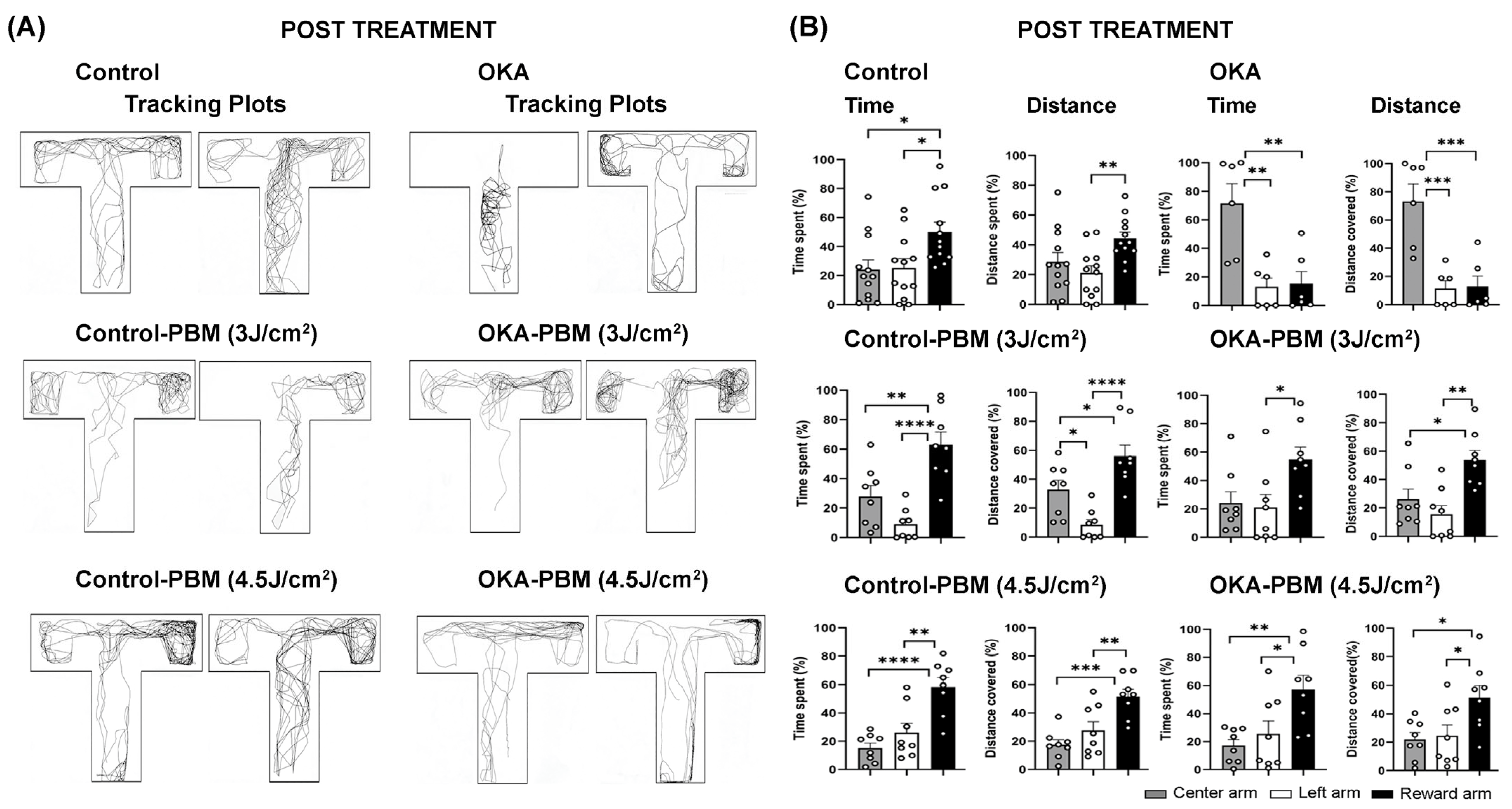 Biomedicines 13 03121 g002